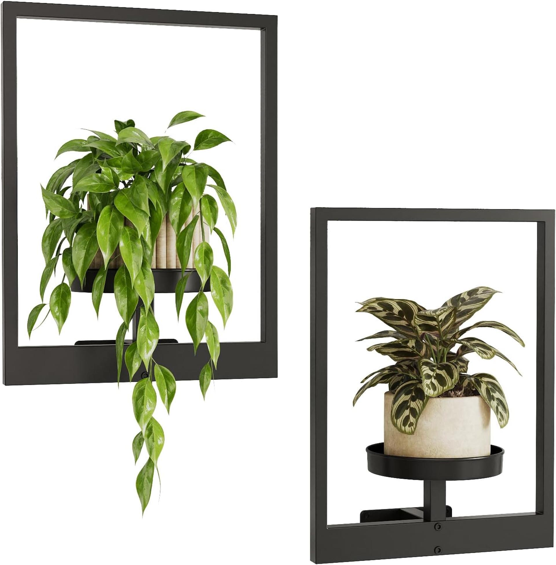 2-Pack Black Metal Wall Plant Hanger, Vertical Indoor Outdoor Planter Holder (Patent Design) - 2