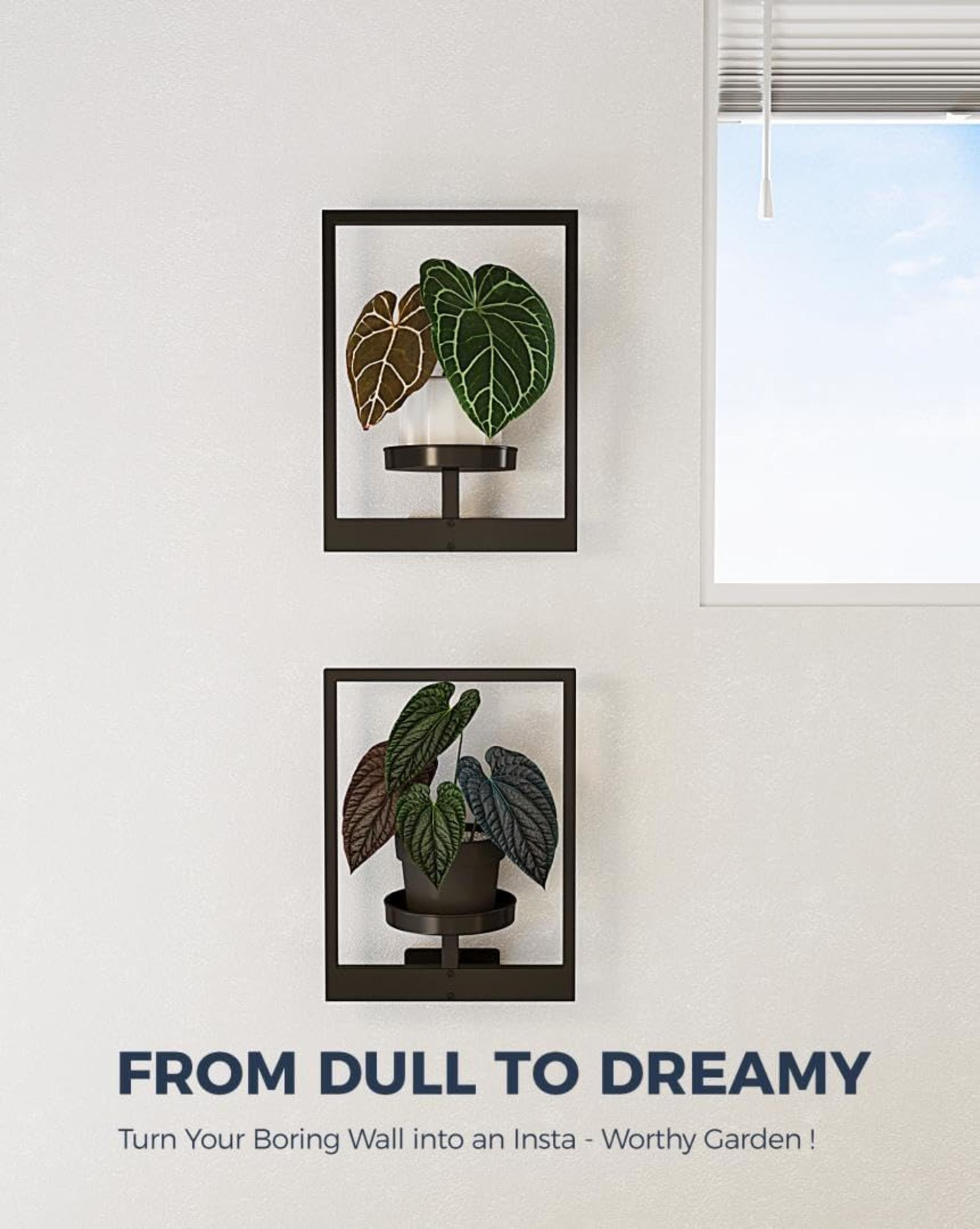 2-Pack Black Metal Wall Plant Hanger, Vertical Indoor Outdoor Planter Holder (Patent Design) - 6