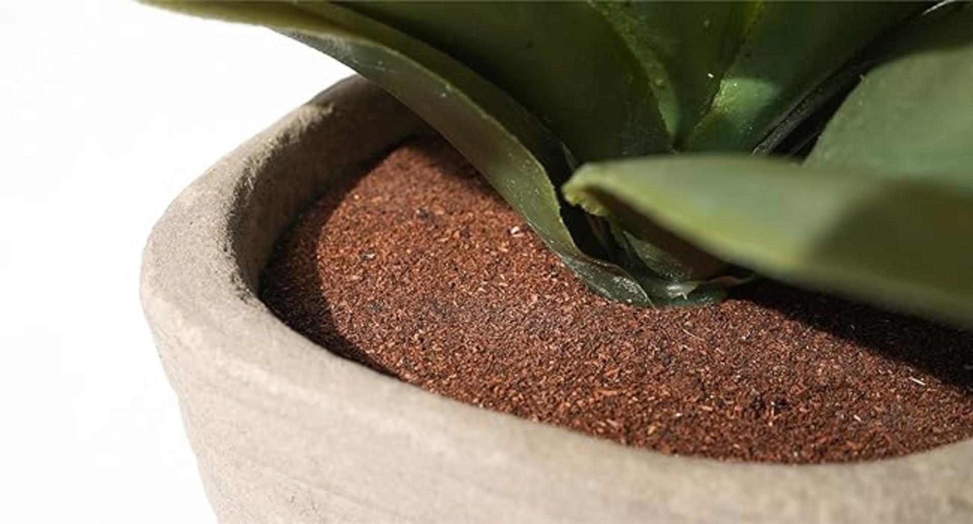 2 Pack Small Fake Plants, 11.42 Inch Artificial Agave Plants in Pots, Faux Plants Indoor for Home Ro detail 3