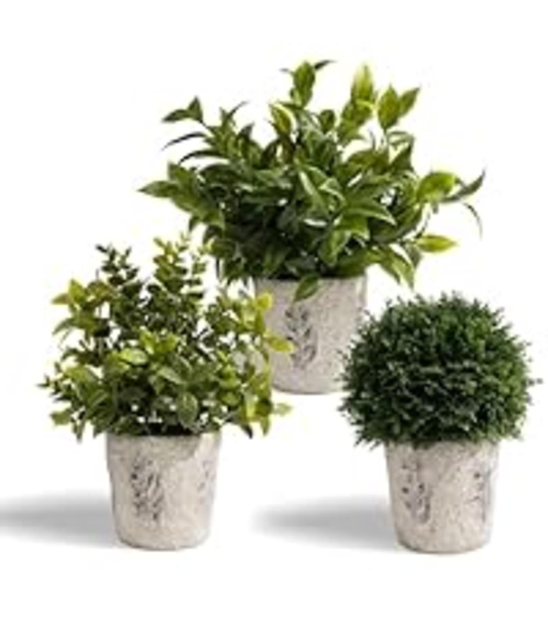 2 Pack Small Fake Plants, 11.42 Inch Artificial Agave Plants in Pots, Faux Plants Indoor for Home Ro detail 12