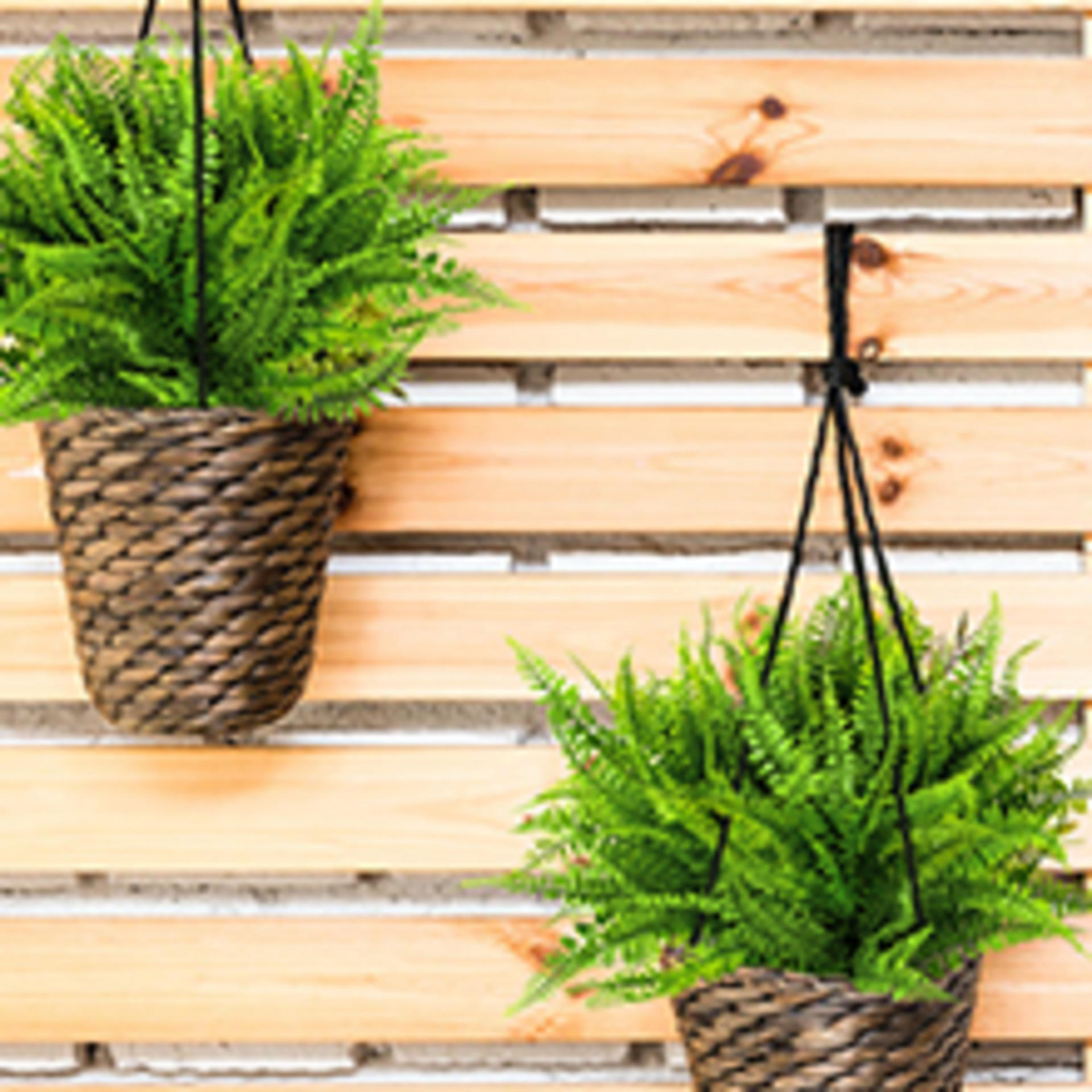 12 Bundles Artificial Boston Ferns UV Resistant Faux Greenery for Outdoor Indoor Decor detail 11
