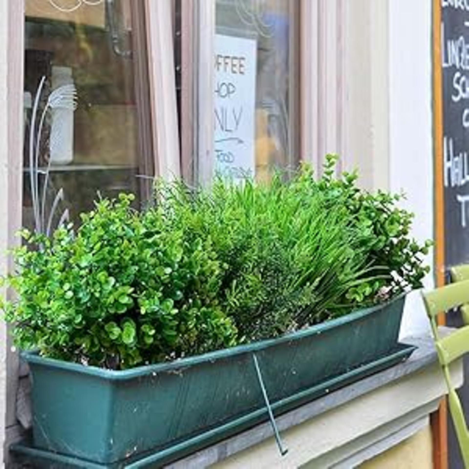 18PCS Outdoor Artificial Faux Plants, UV Resistant Realistic Fake Greenery for Porch & Window Box detail 10