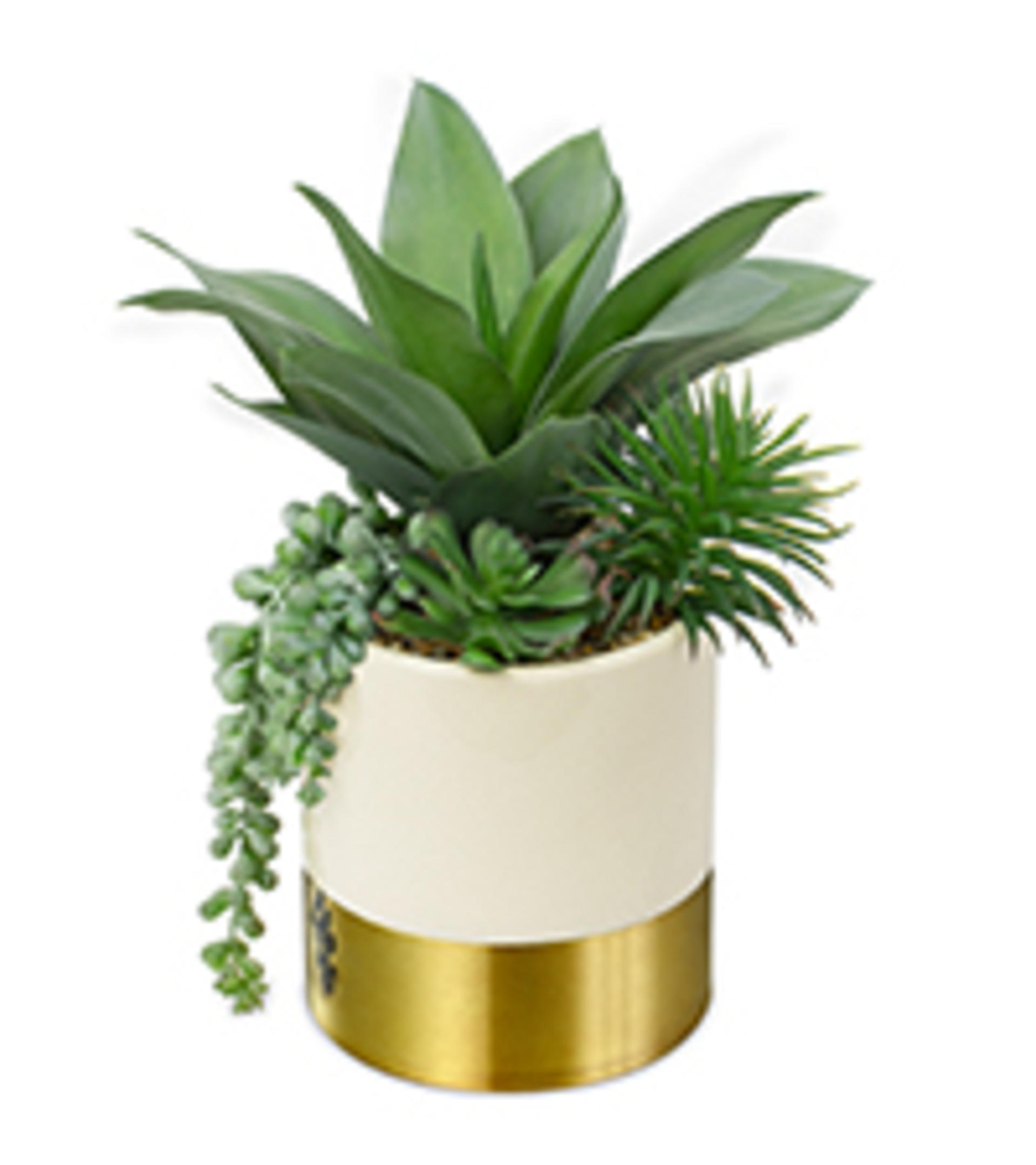 Large Artificial Agave Plant - 15" Faux Three-Head Succulent in Modern White Ceramic Pot detail 10