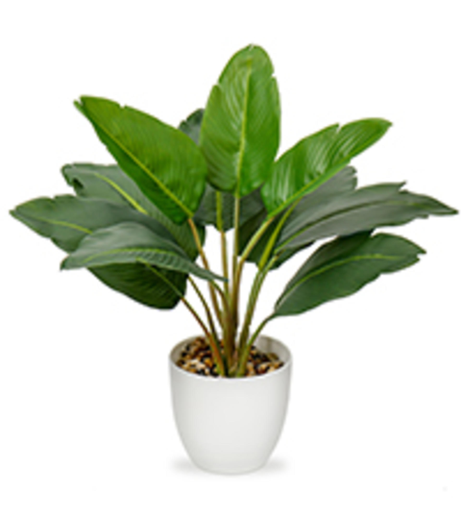 Large Artificial Agave Plant - 15" Faux Three-Head Succulent in Modern White Ceramic Pot detail 14