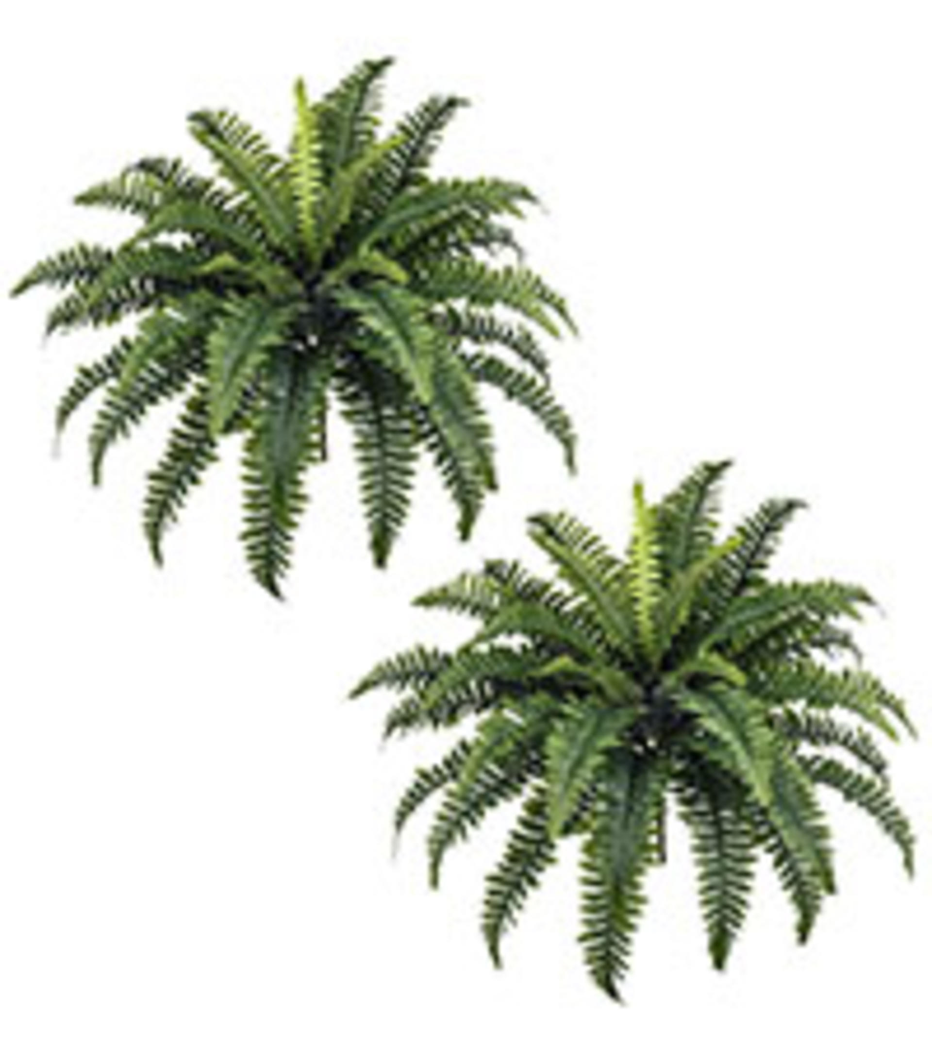 45" Fake Ferns, Realistic Large Artificial Bush Plants, 2 Artificial Boston Ferns with 59 Fronds for Outdoors Planter Indoor Home Garden Porch Decor detail 10