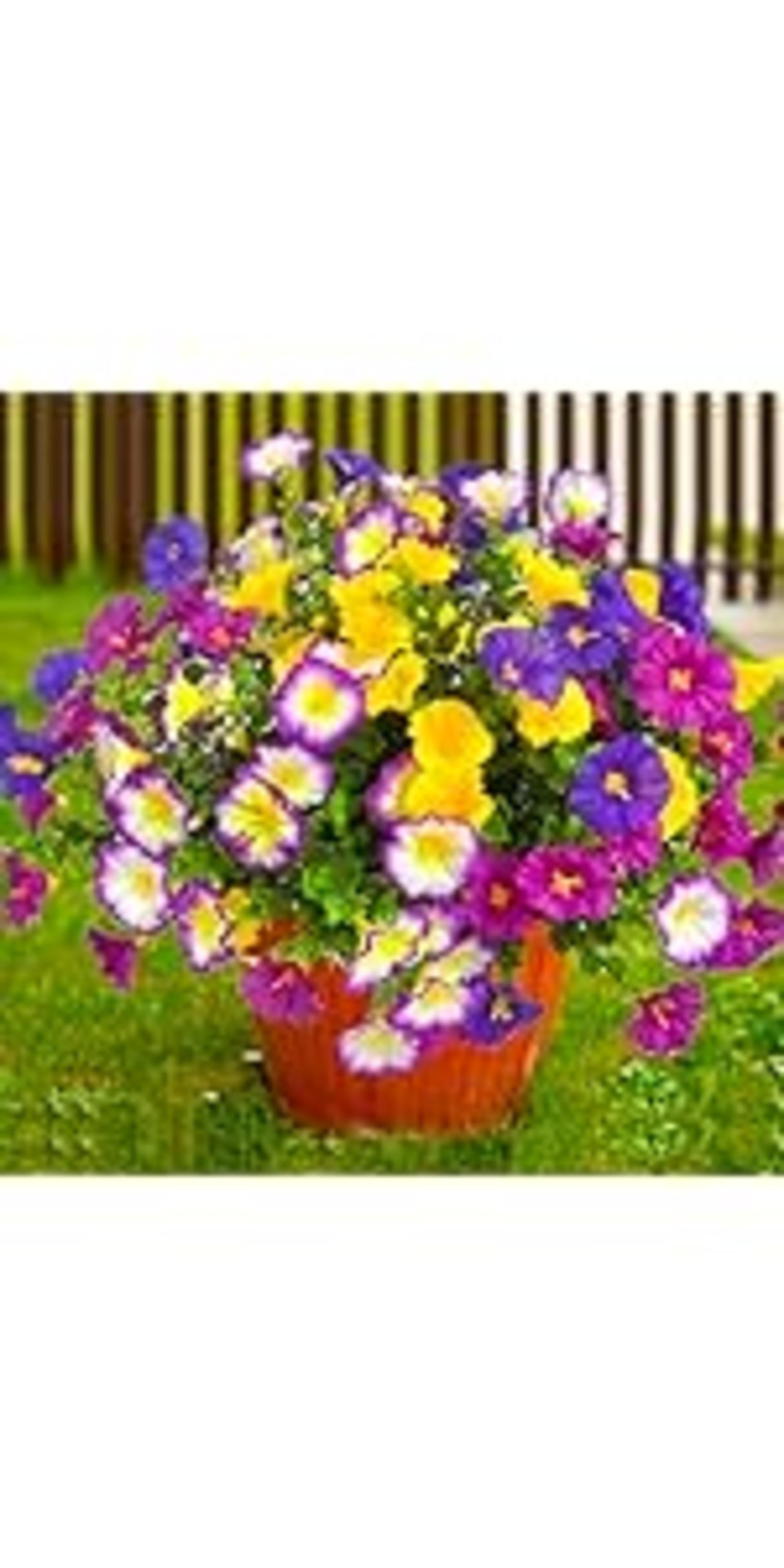 Artificial Plants Outdoor, 20 Pcs Fake Flowers UV Resistant Outdoor Fake Plants, Lavender Artificial Flowers Plastic Fake Faux Flowers Shrubs for Home Porch Garden Yard Window Box (Yellow White) detail 5