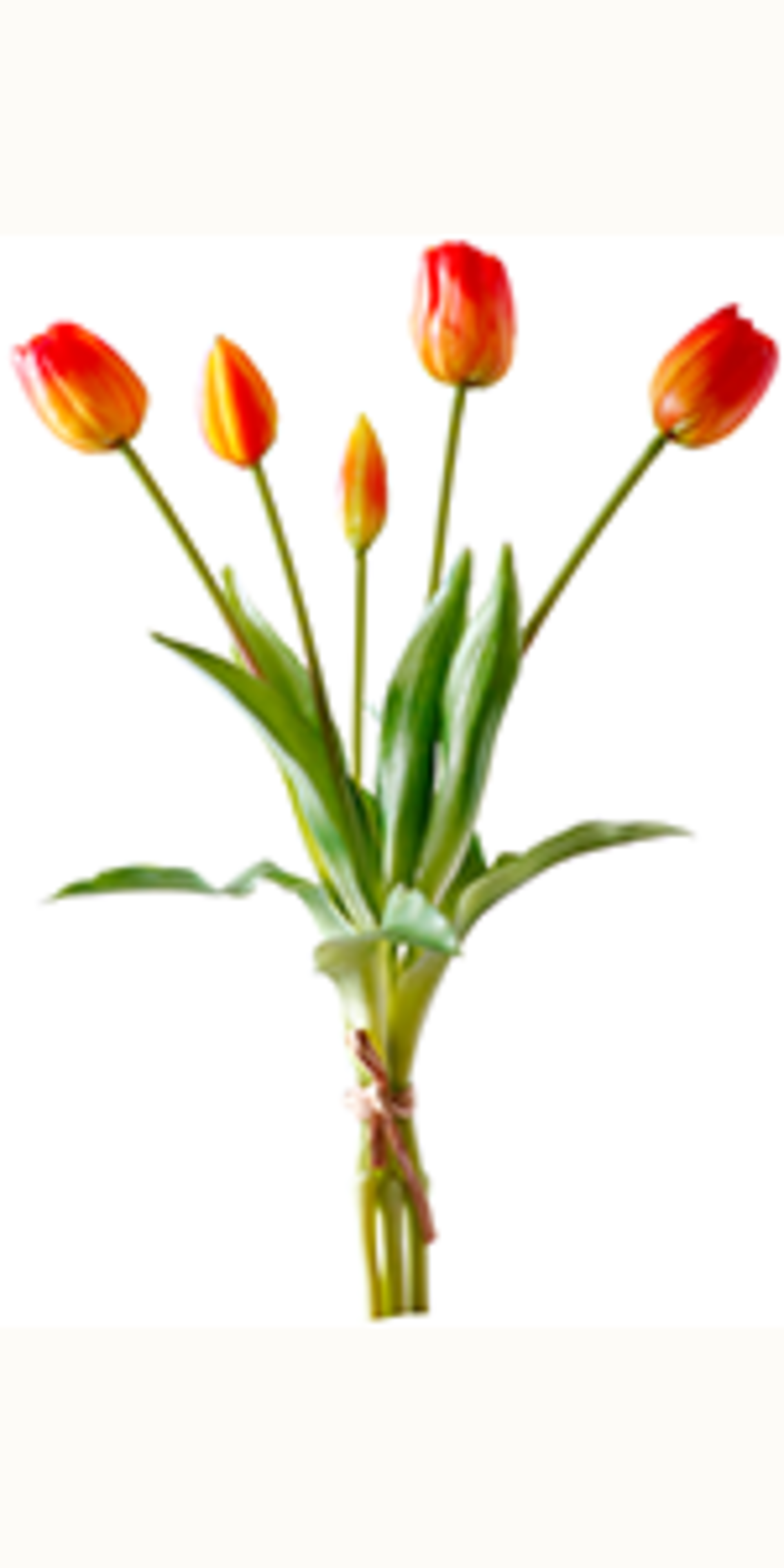 20pcs Real Touch Artificial Tulips - Lifelike Faux Latex Flower Bouquets for Home Wedding Decor detail 13