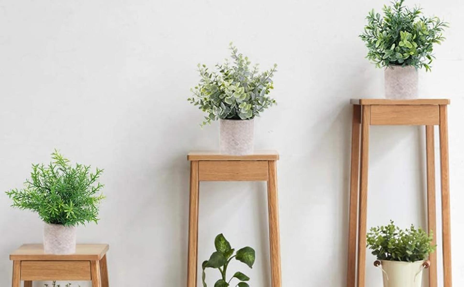 3 Pack Mini Artificial Potted Plants - Faux Eucalyptus, Boxwood, and Rosemary Greenery for Home Decor detail 10