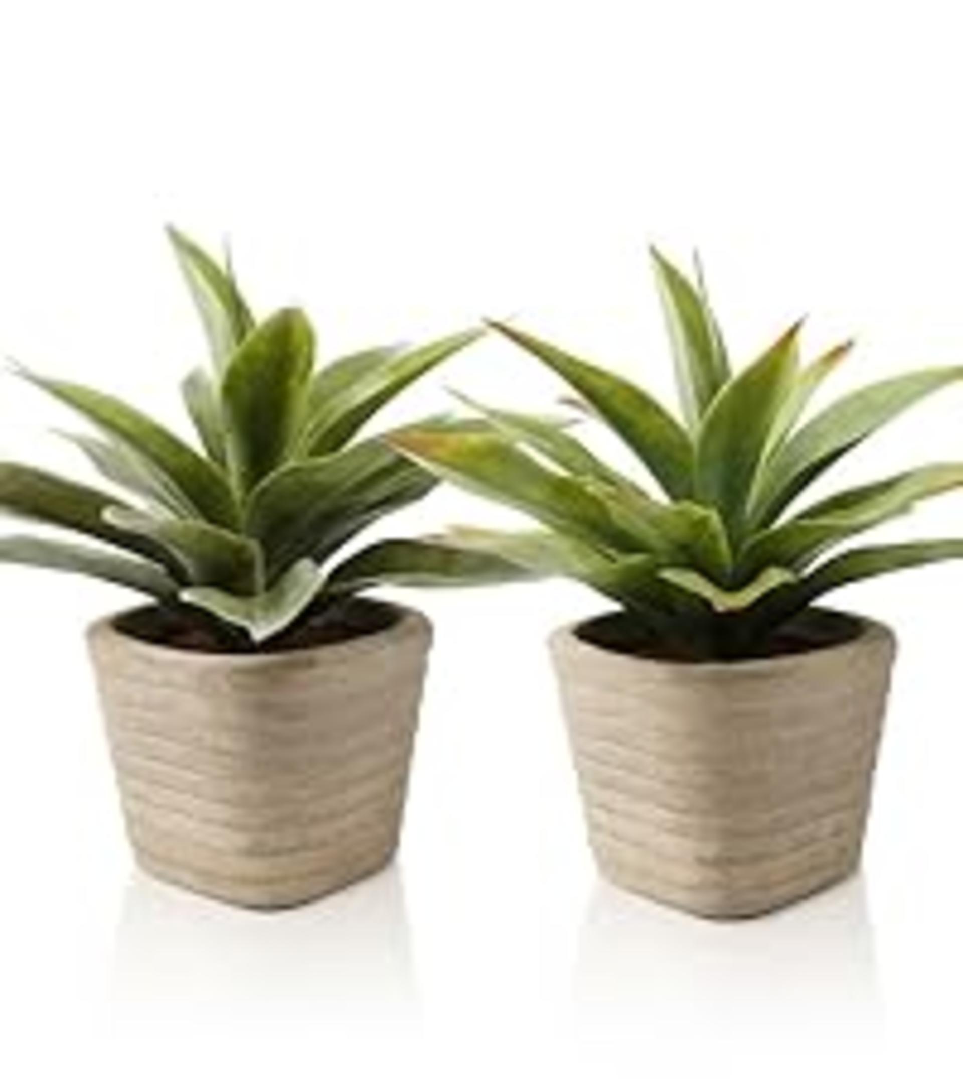 4 Pack Small Artificial Plants in Pulp Pots, Realistic Faux Greenery for Home & Office Decor detail 13