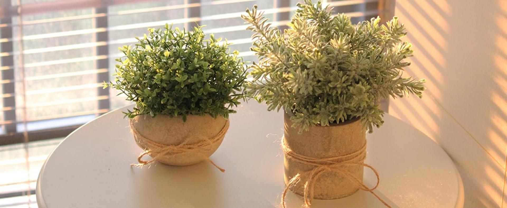 4 Pack Small Artificial Plants in White Pots for Home Decor, Lifelike Faux Greenery for Shelf and Office detail 12