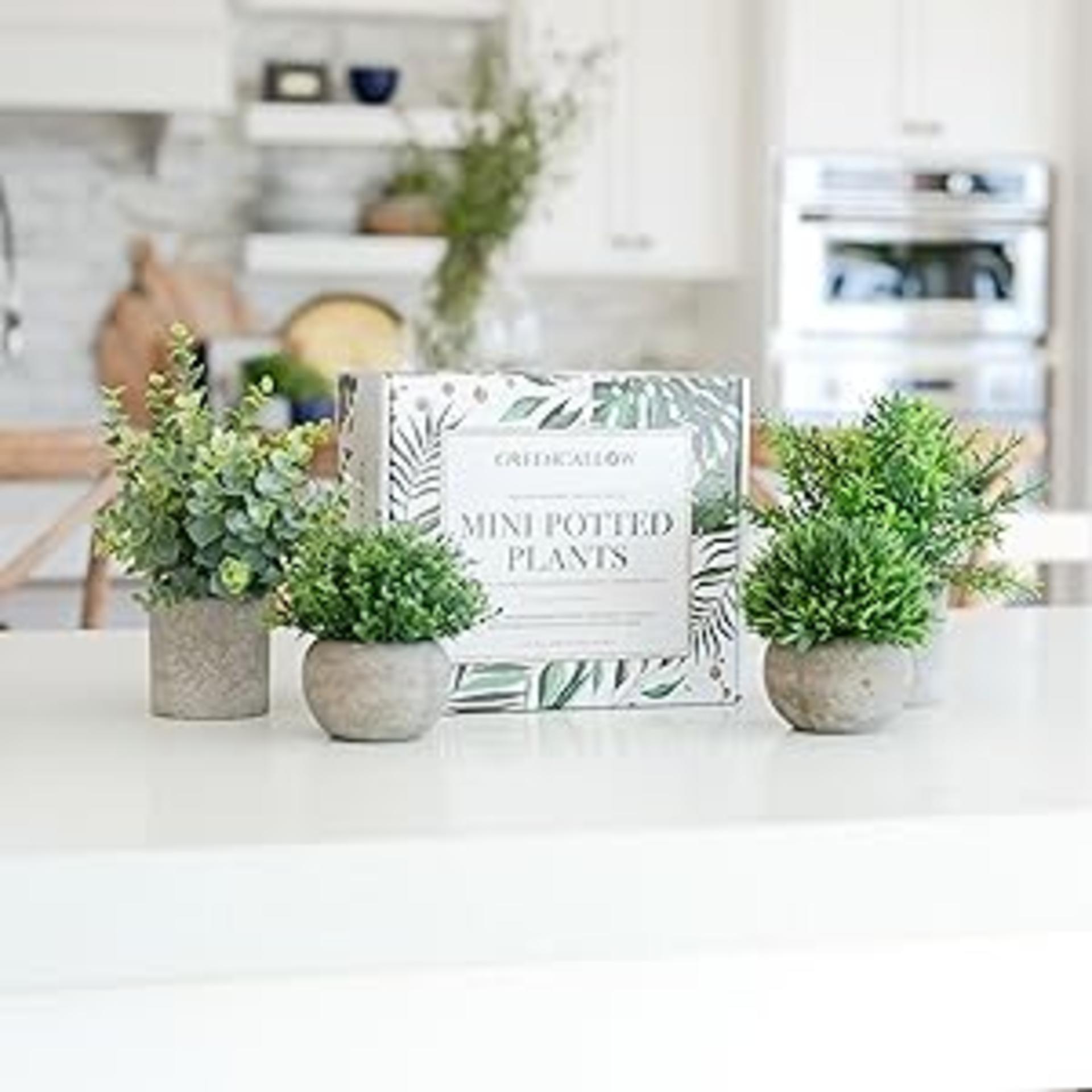 4-Pack Mini Artificial Potted Plants - Realistic Eucalyptus, Rosemary & Grass Faux Greenery Decor detail 2