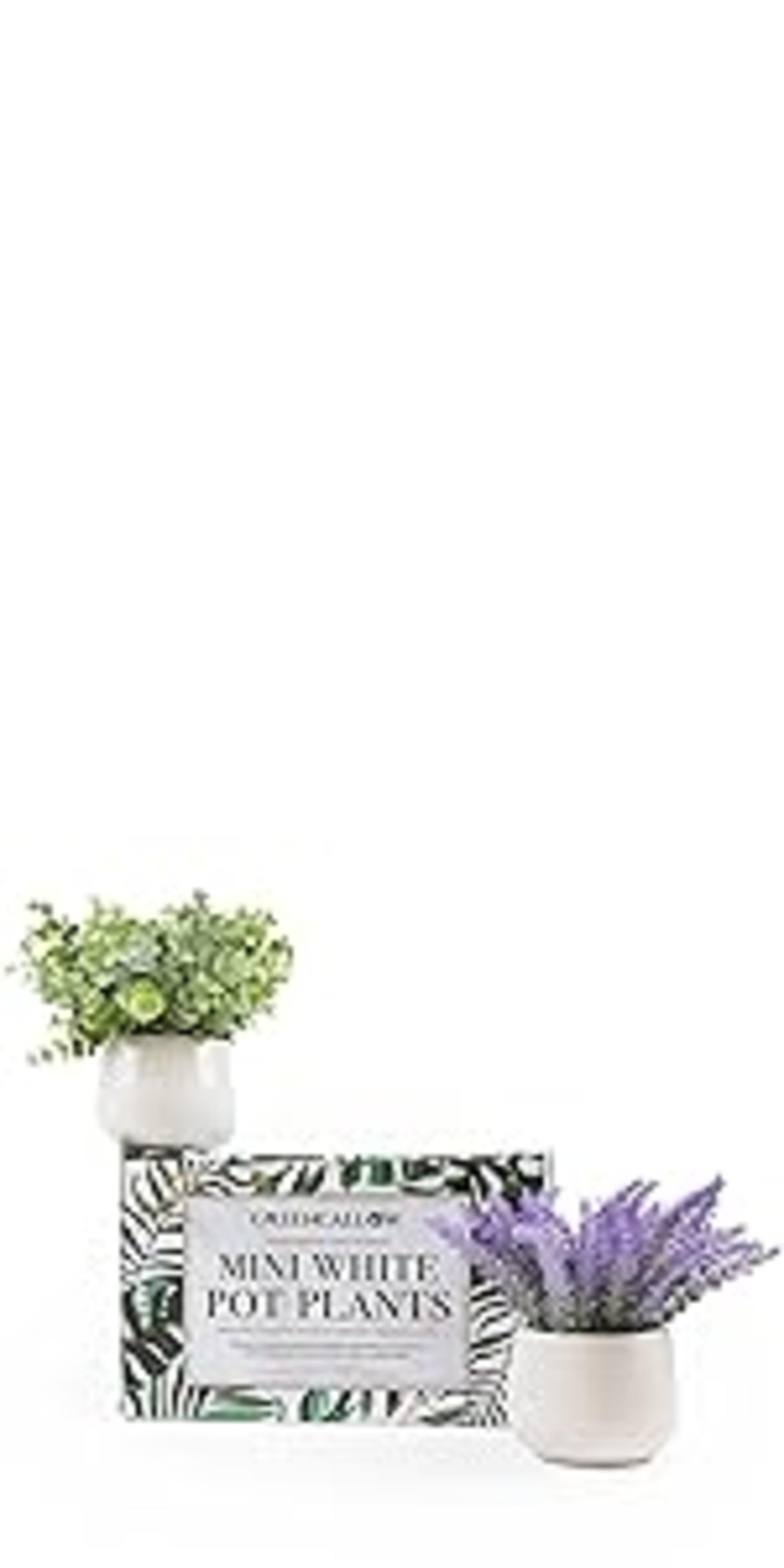 4-Pack Mini Artificial Potted Plants - Realistic Eucalyptus, Rosemary & Grass Faux Greenery Decor detail 12