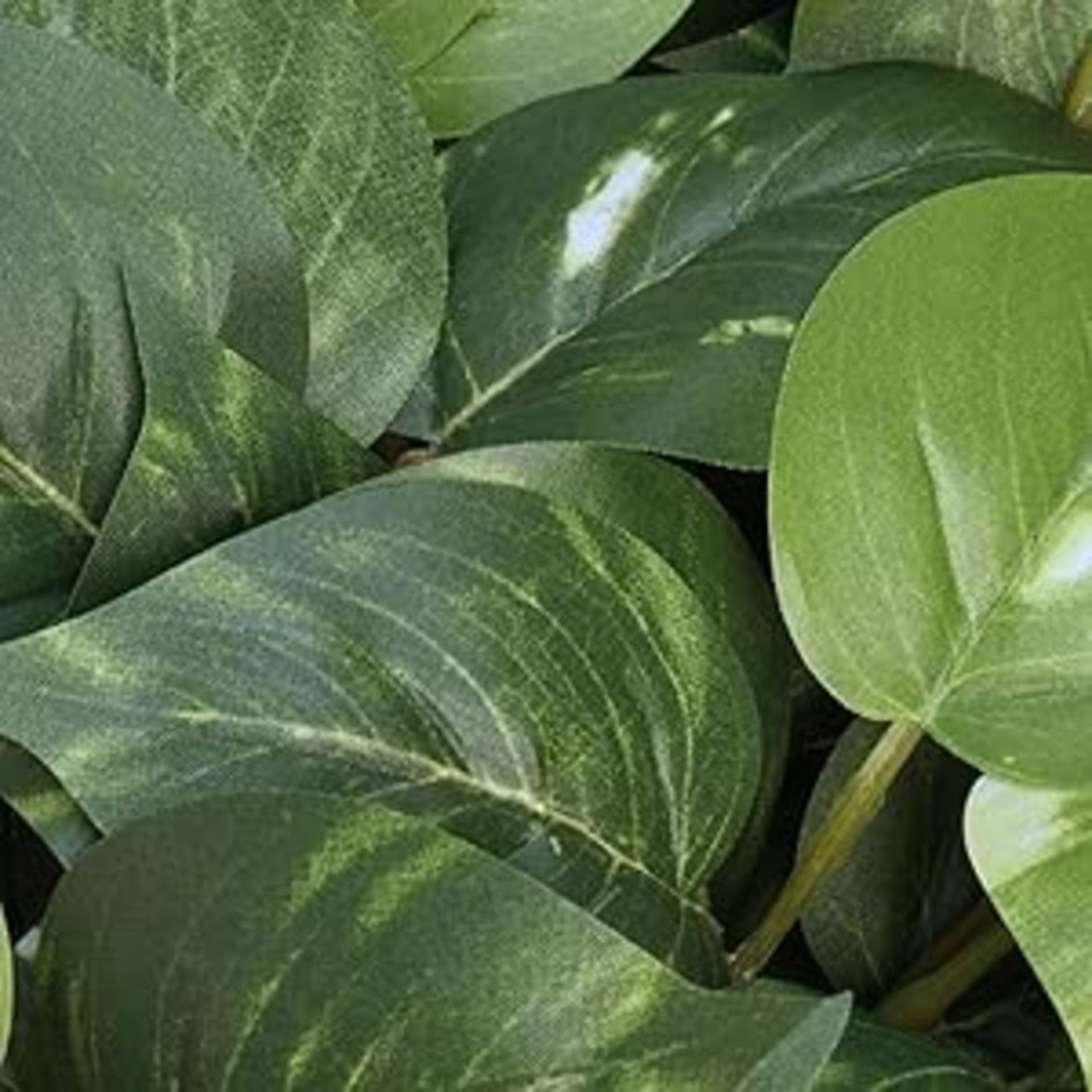 32" Realistic Artificial Pothos Ivy Plant - Variegated Silk Greenery for Indoor Home Decor detail 3