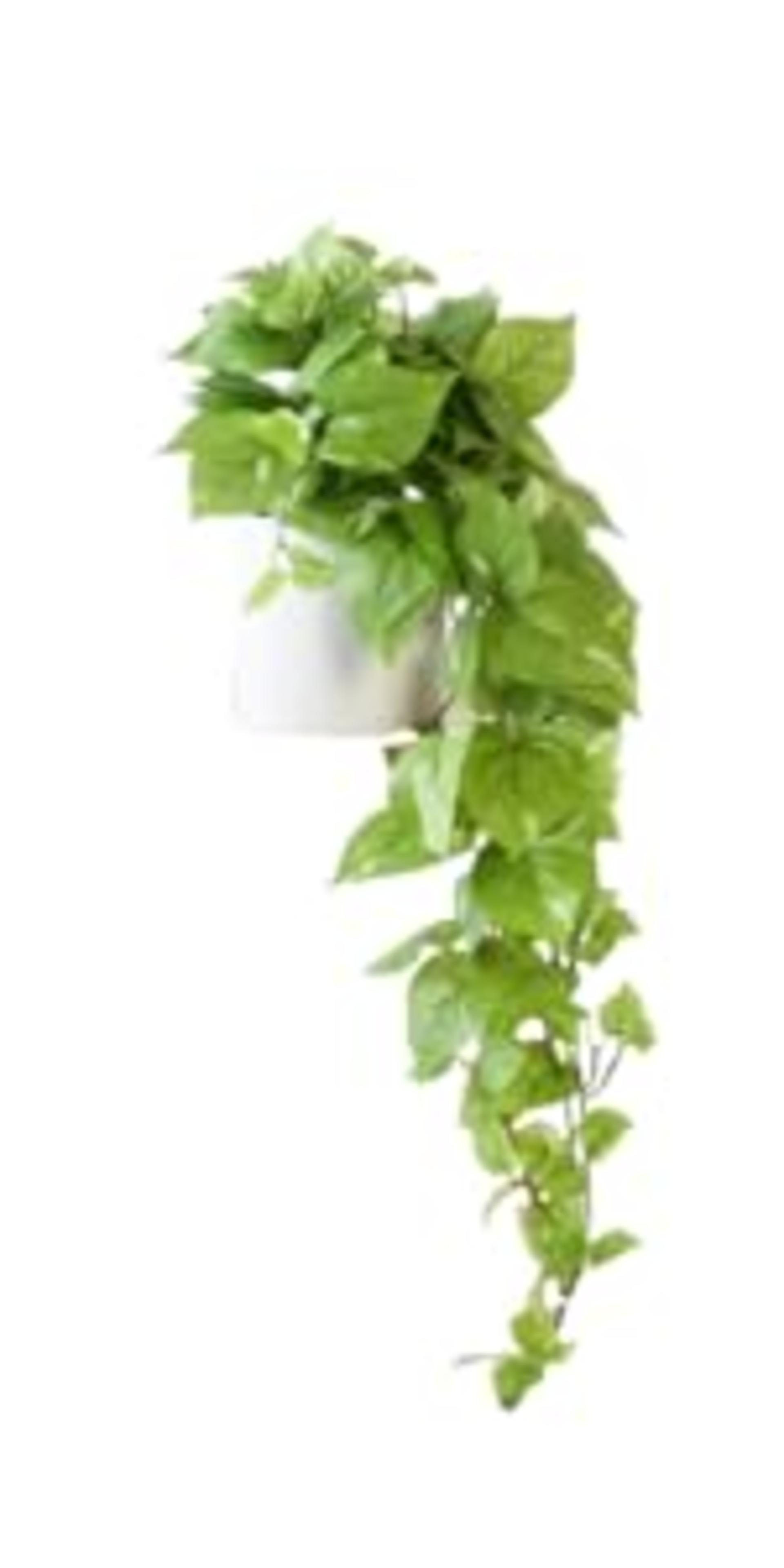 32" Realistic Artificial Pothos Ivy Plant - Variegated Silk Greenery for Indoor Home Decor detail 11