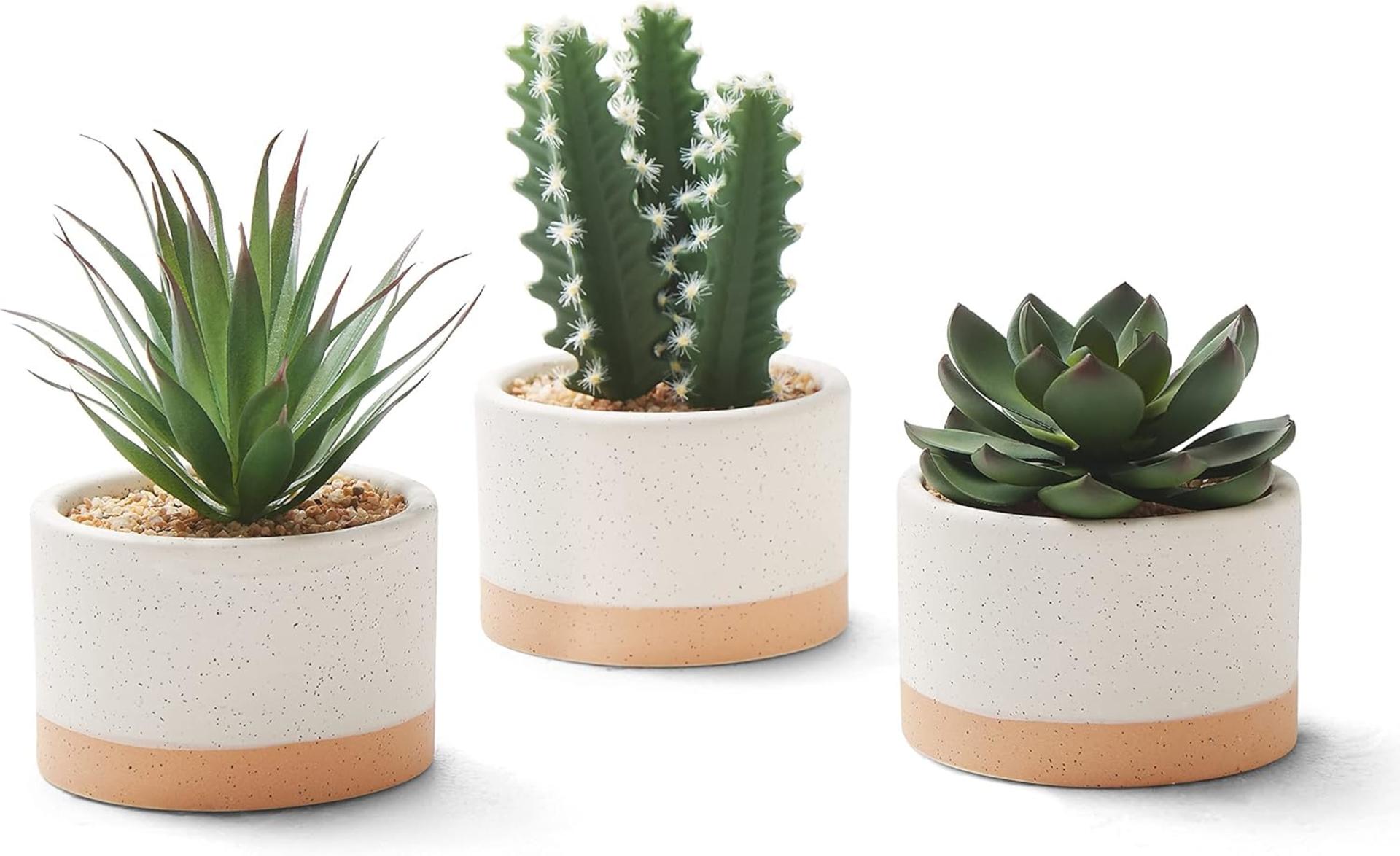 Set of 3 Artificial Succulent Plants in Ceramic Pots - Lifelike Faux Cactus for Home and Office Decor