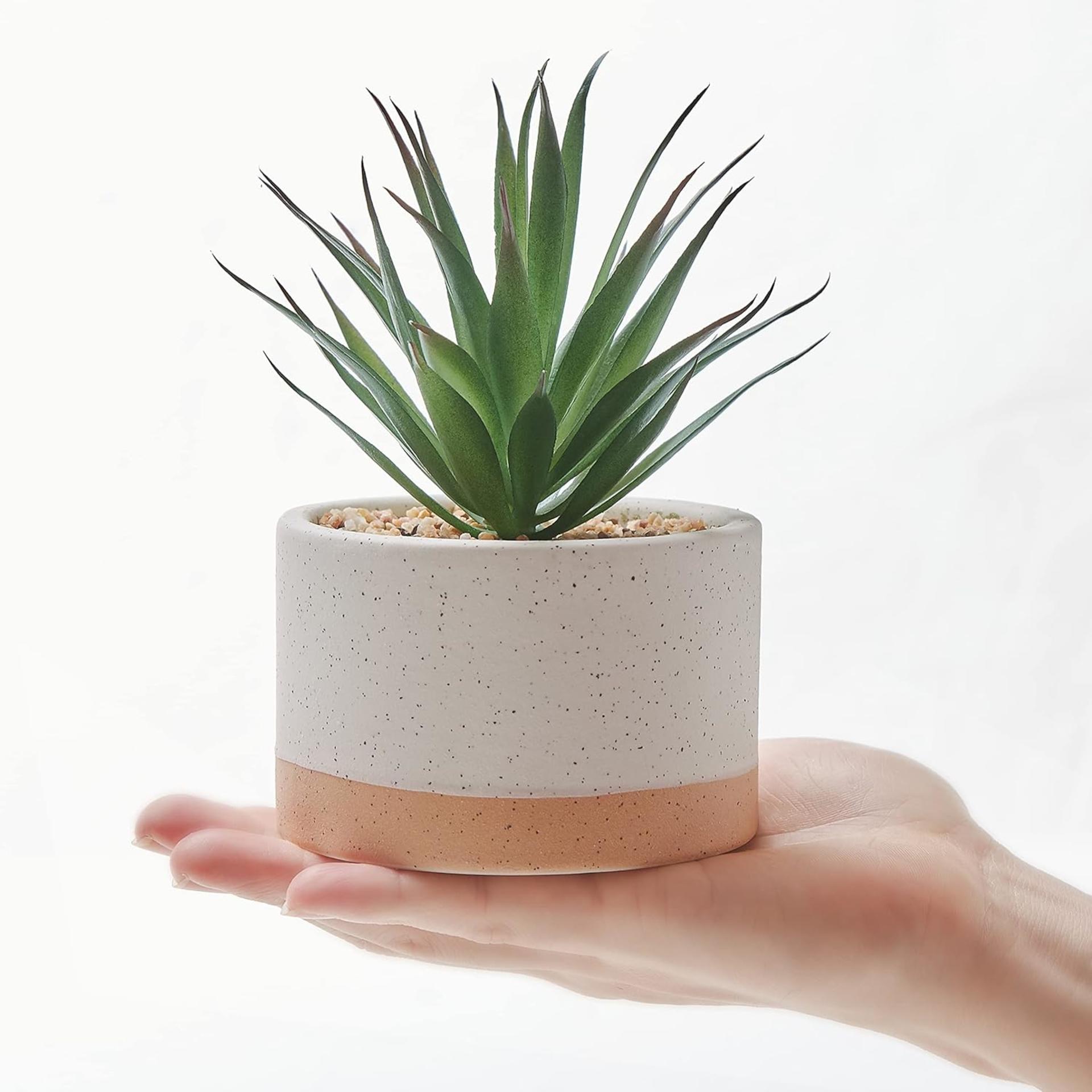 Set of 3 Artificial Succulent Plants in Ceramic Pots - Lifelike Faux Cactus for Home and Office Decor - 5