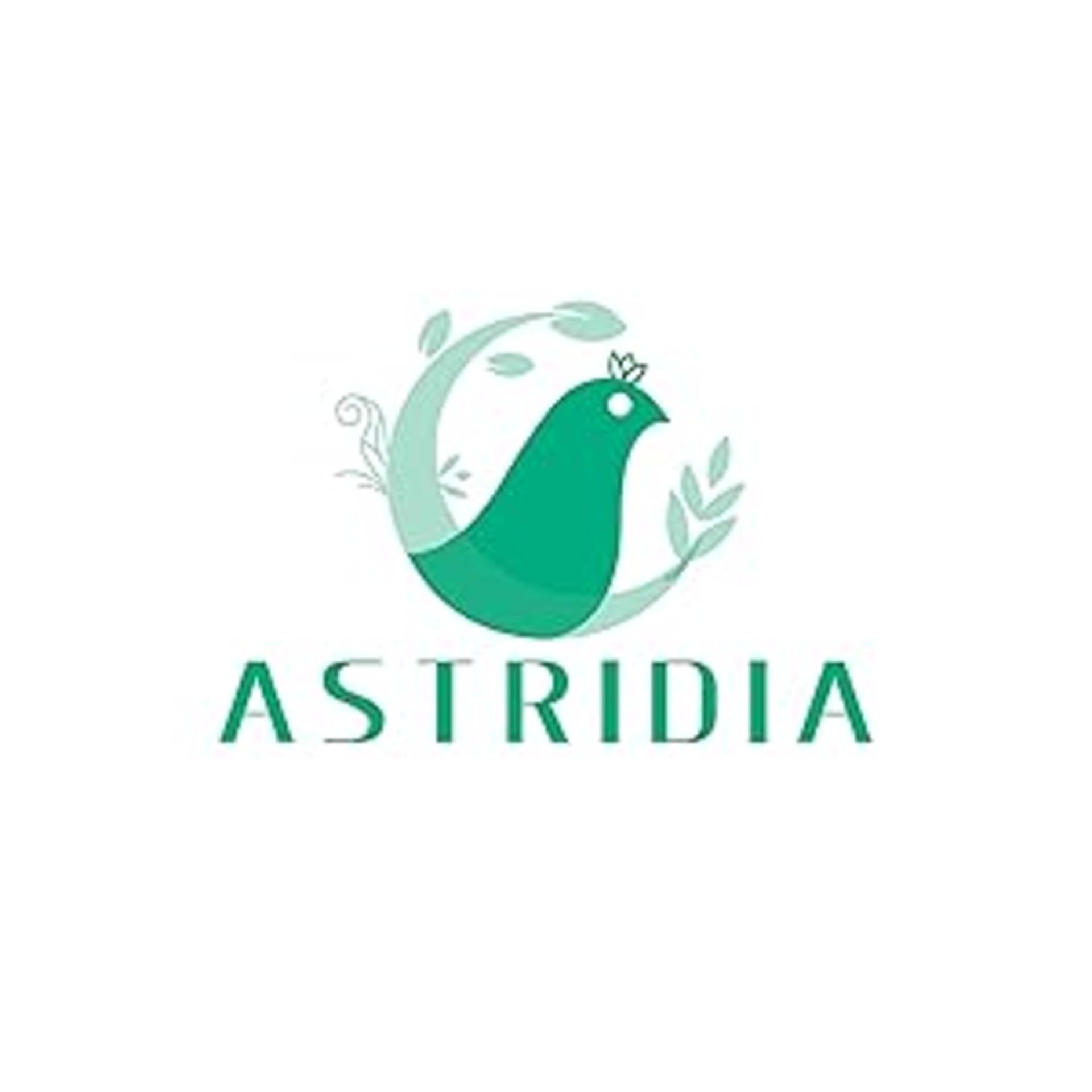 Set of 3 Artificial Succulent Plants in Ceramic Pots - Lifelike Faux Cactus for Home and Office Decor detail 1