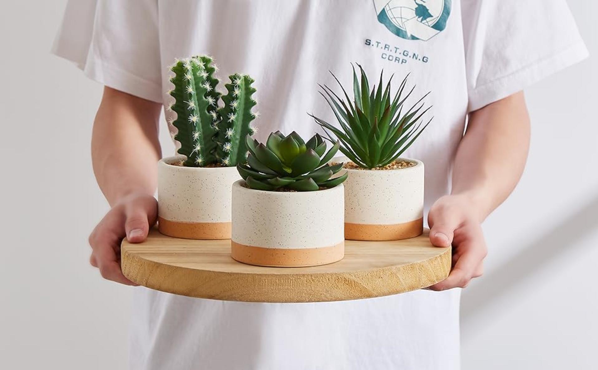Set of 3 Artificial Succulent Plants in Ceramic Pots - Lifelike Faux Cactus for Home and Office Decor detail 5
