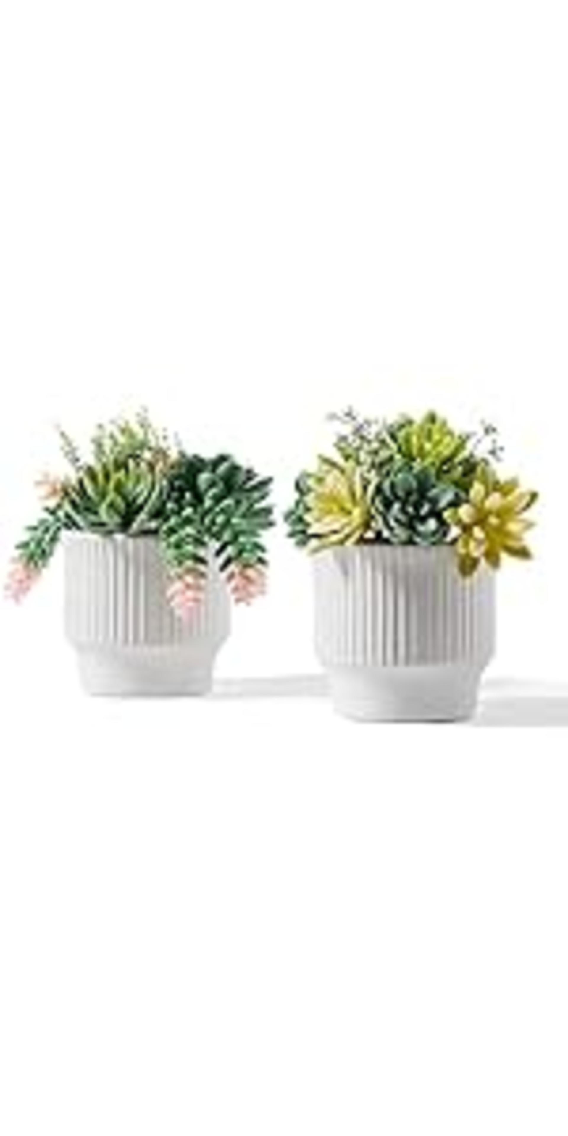 Set of 3 Artificial Succulent Plants in Ceramic Pots - Lifelike Faux Cactus for Home and Office Decor detail 10