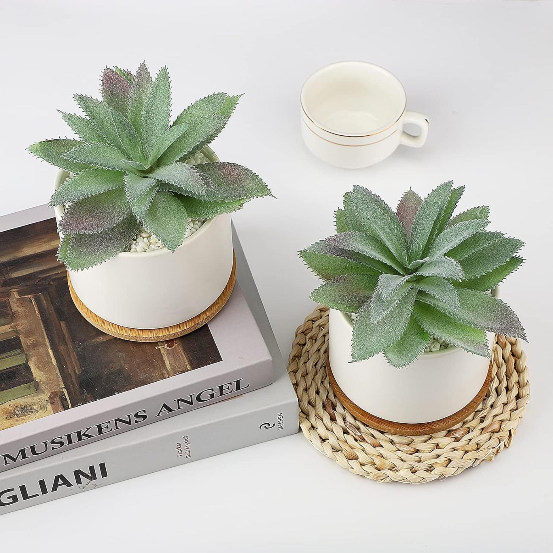 Set of 2 Artificial Agave Succulents in Ceramic Pots with Bamboo Trays, Lifelike Faux Potted Plants - 4