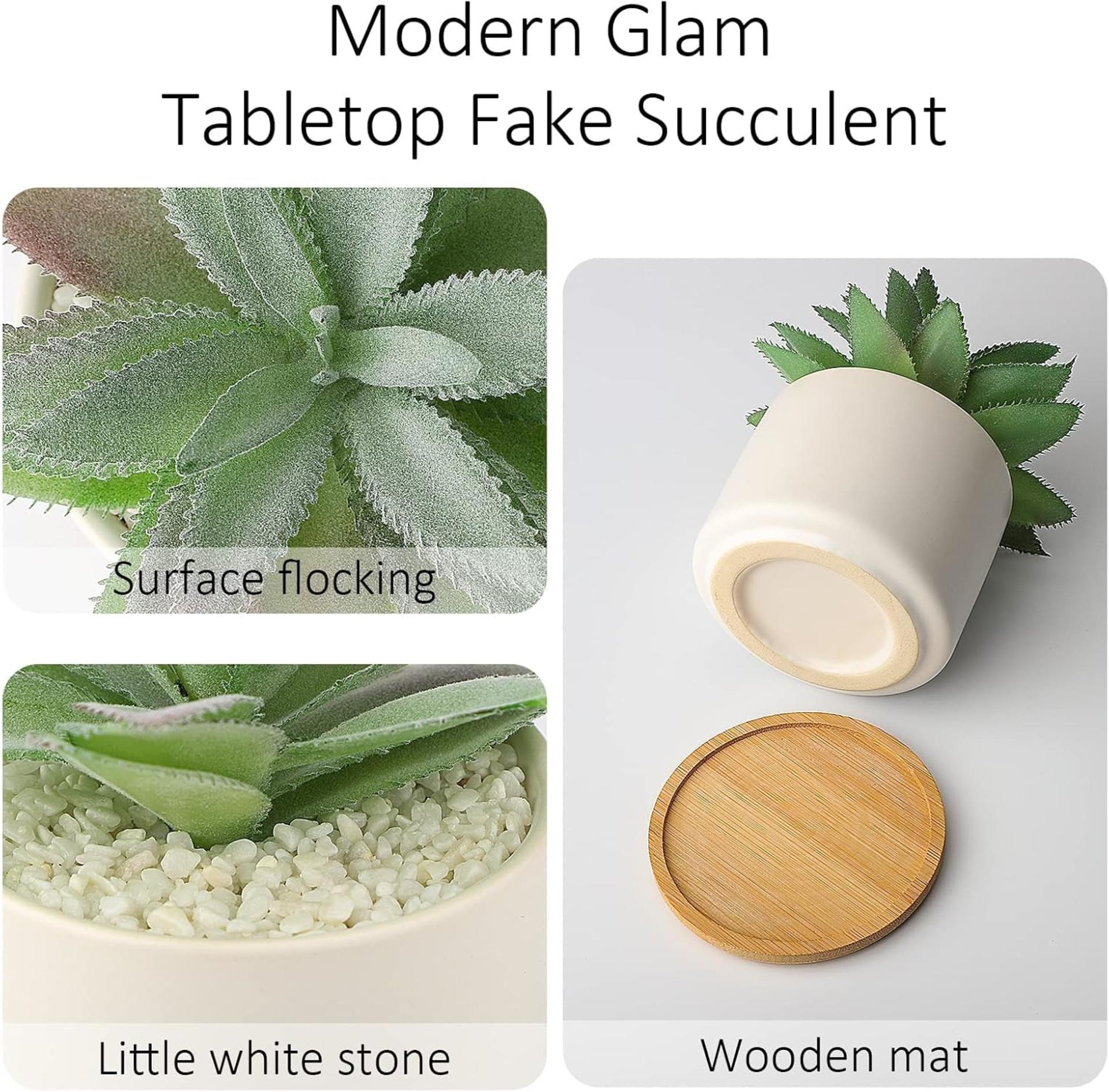 Set of 2 Artificial Agave Succulents in Ceramic Pots with Bamboo Trays, Lifelike Faux Potted Plants - 8