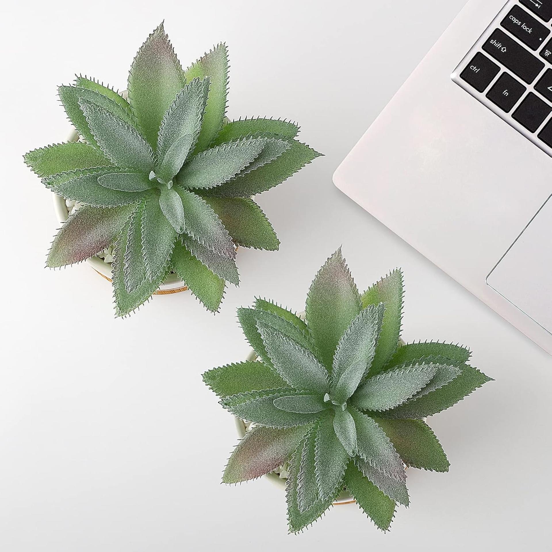 Set of 2 Artificial Agave Succulents in Ceramic Pots with Bamboo Trays, Lifelike Faux Potted Plants - 7