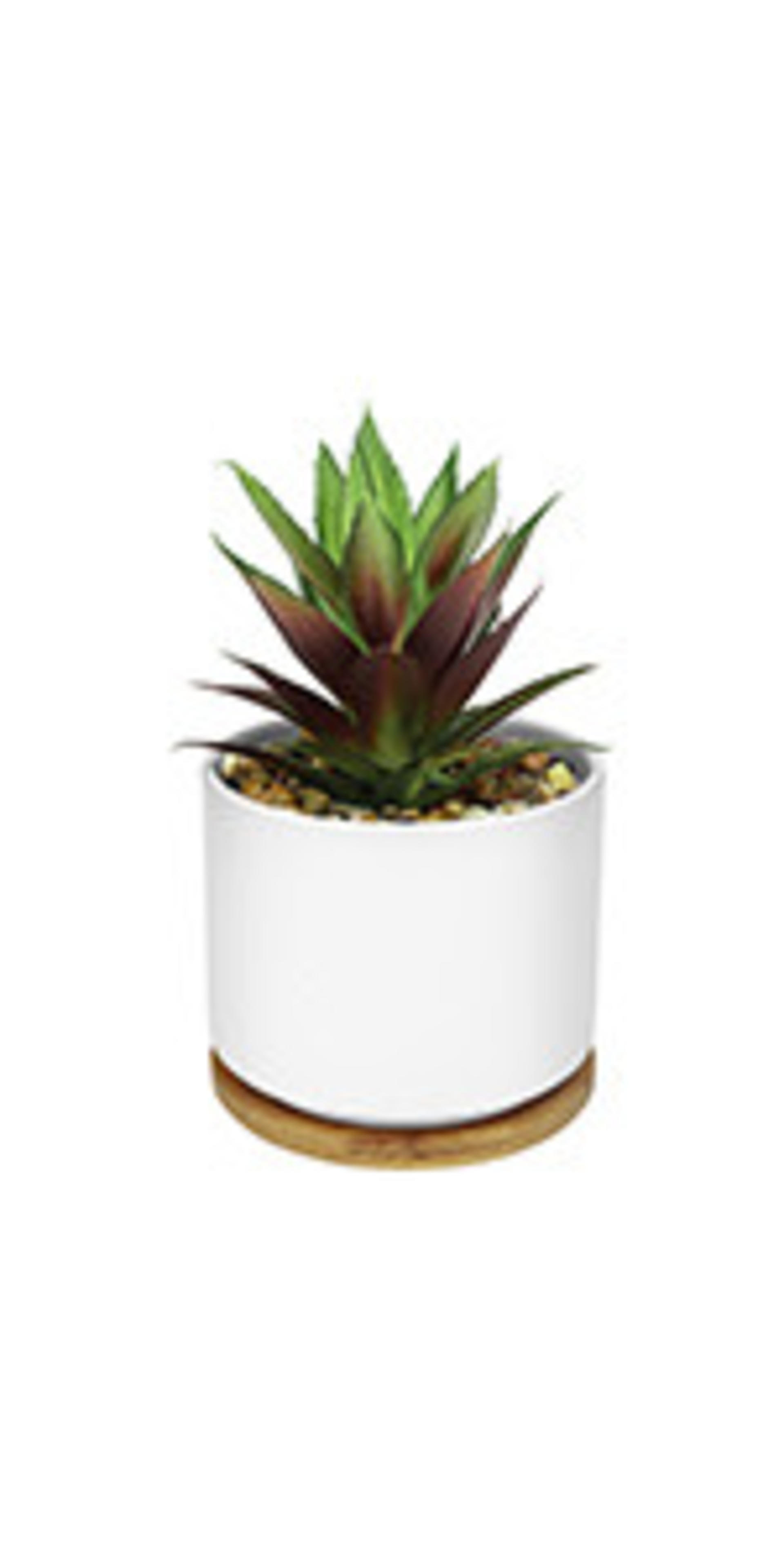 Set of 2 Artificial Agave Succulents in Ceramic Pots with Bamboo Trays, Lifelike Faux Potted Plants detail 15