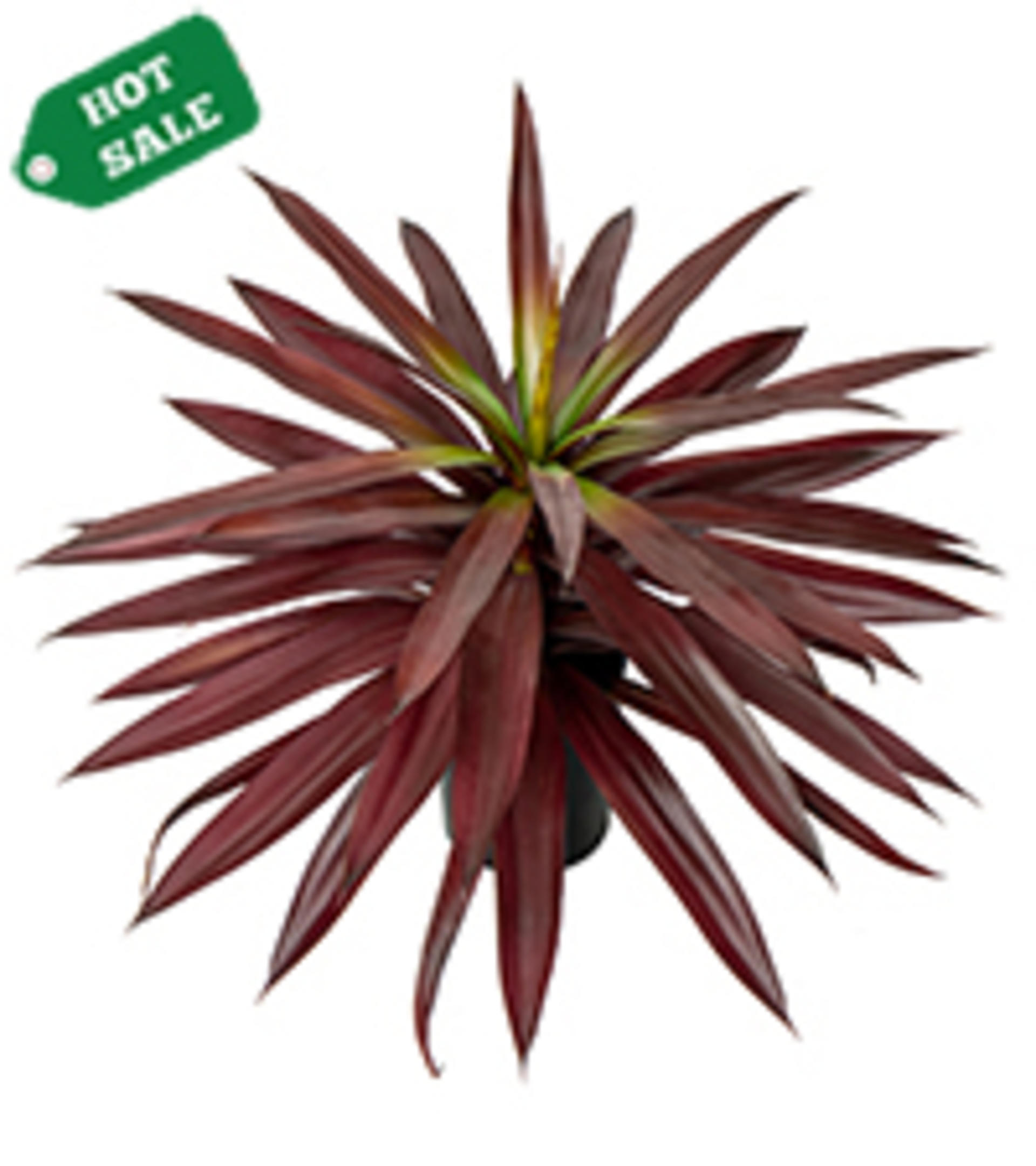 17.3 Inch Large Artificial Agave Plant, Faux Yucca Potted Succulent for Indoor Outdoor Decor detail 8