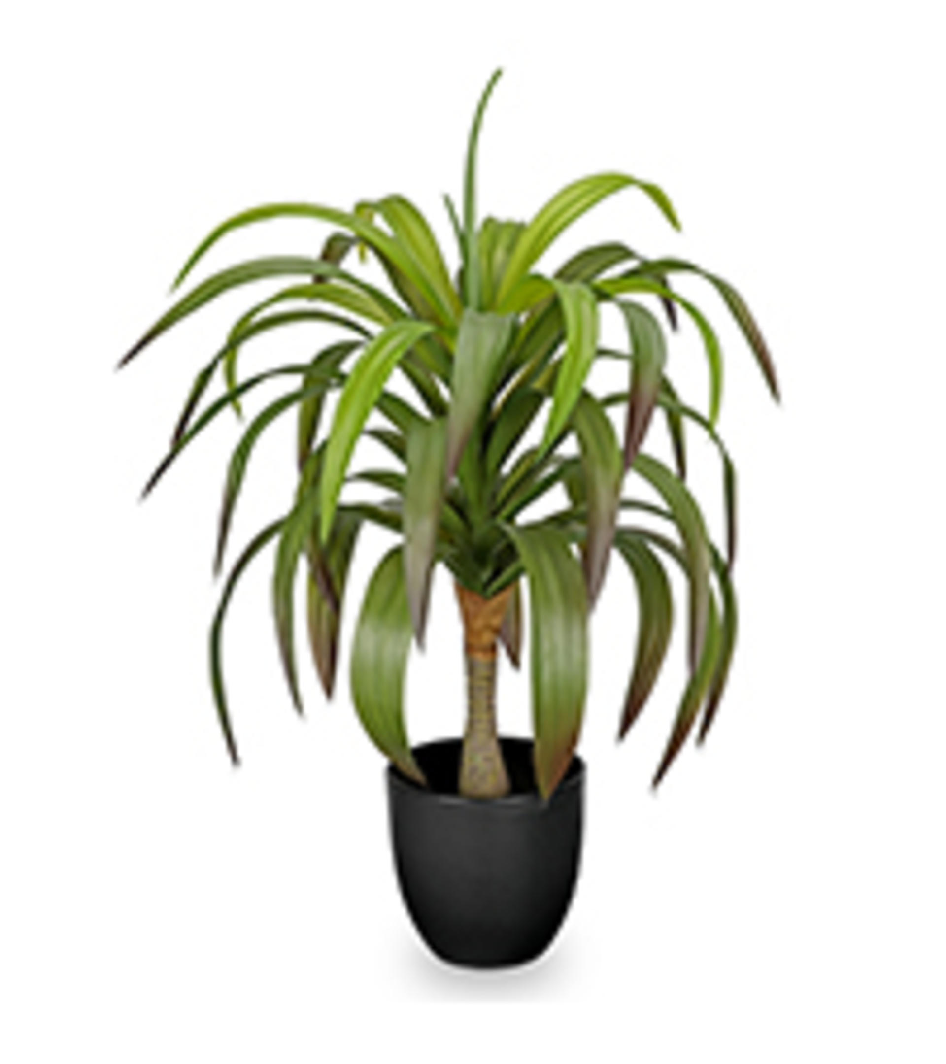 17.3 Inch Large Artificial Agave Plant, Faux Yucca Potted Succulent for Indoor Outdoor Decor detail 11