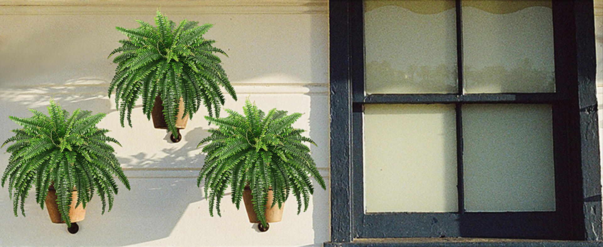 45" Large Artificial Boston Ferns, 2 Pack Realistic Fake Fern Plants with 59 Fronds for Decor detail 6