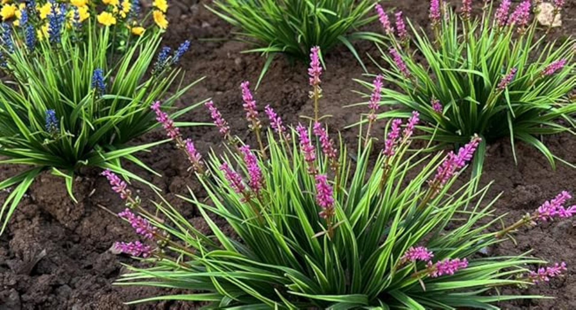 12 Bundles Artificial Outdoor Monkey Grass with Flowers, UV Resistant Faux Plants for Garden Decor detail 9