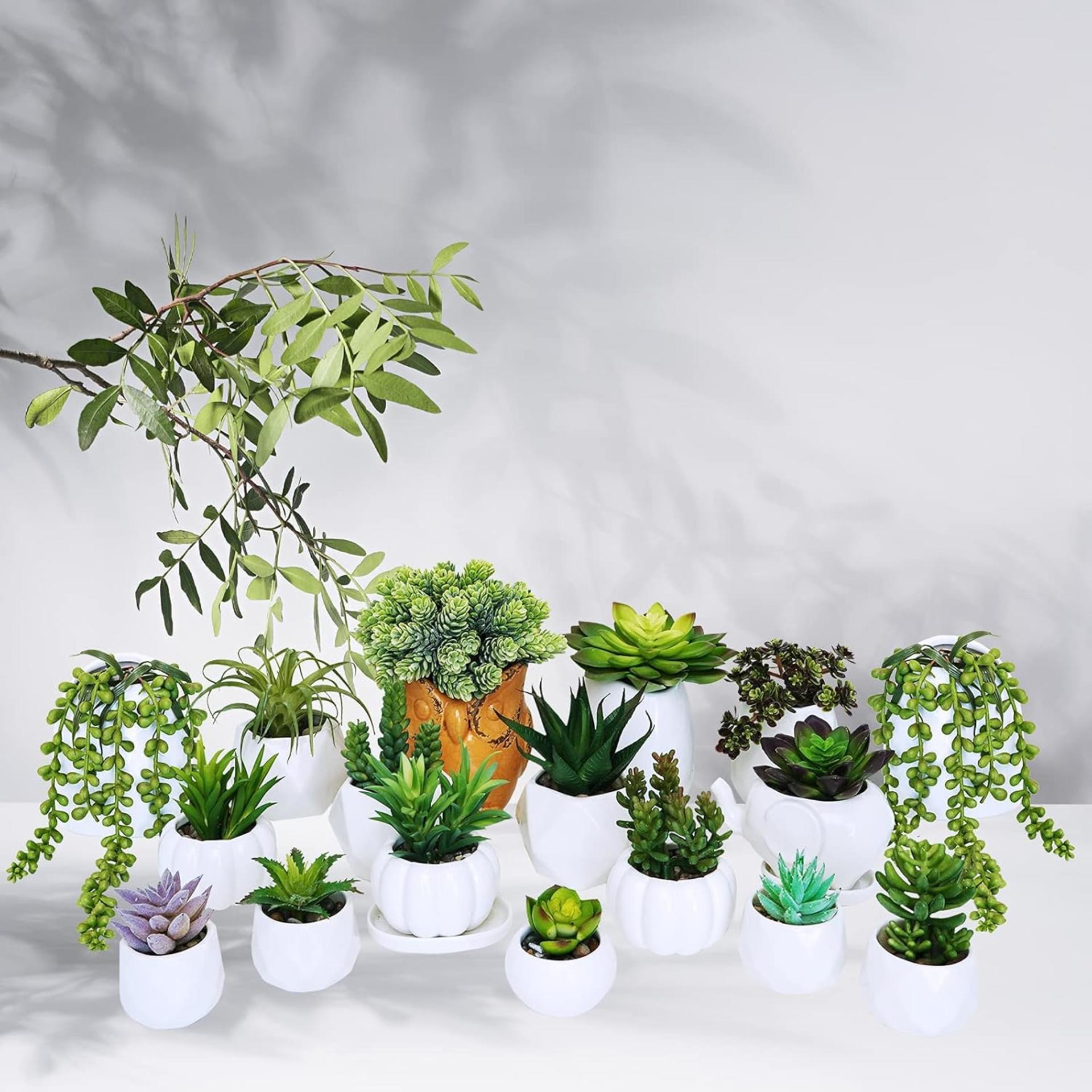 19 Pcs Assorted Artificial Succulents Unpotted Faux Small Green Hanging Plants for DIY Home Decor - 5