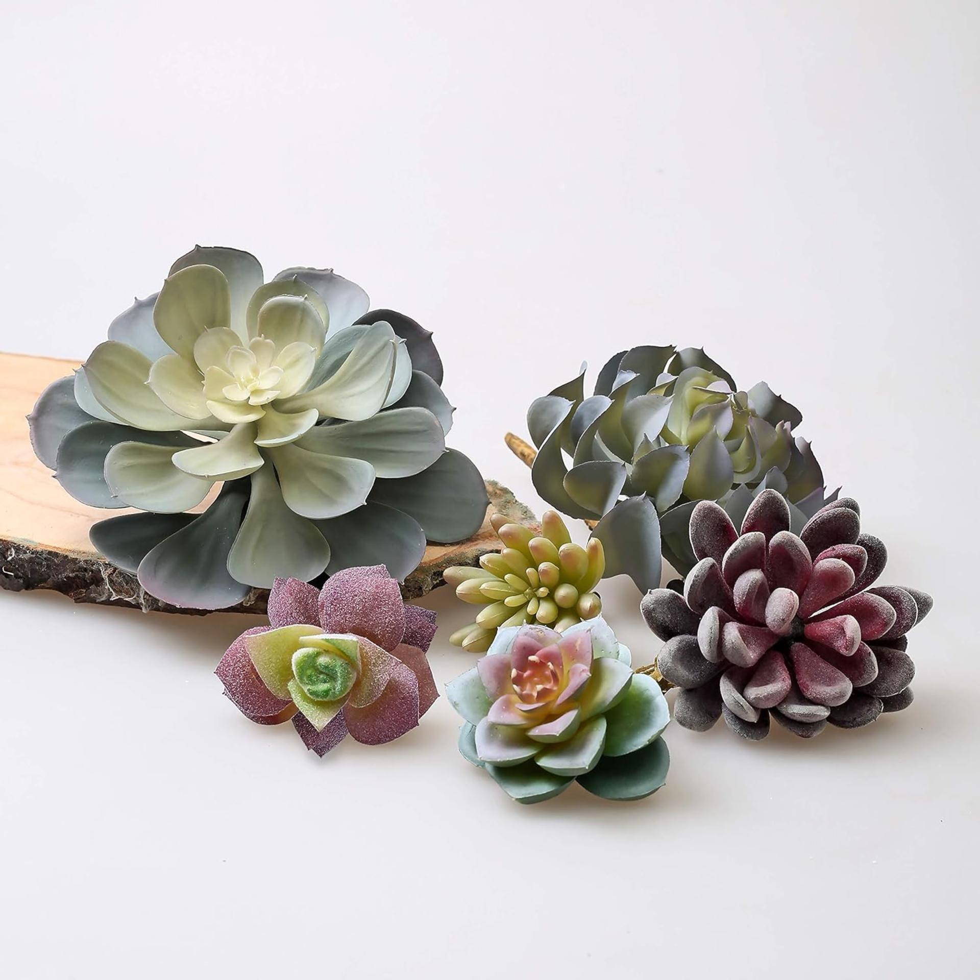 15 Pack Artificial Succulents - Realistic Unpotted Faux Cactus Plants for DIY Home Decor - 6