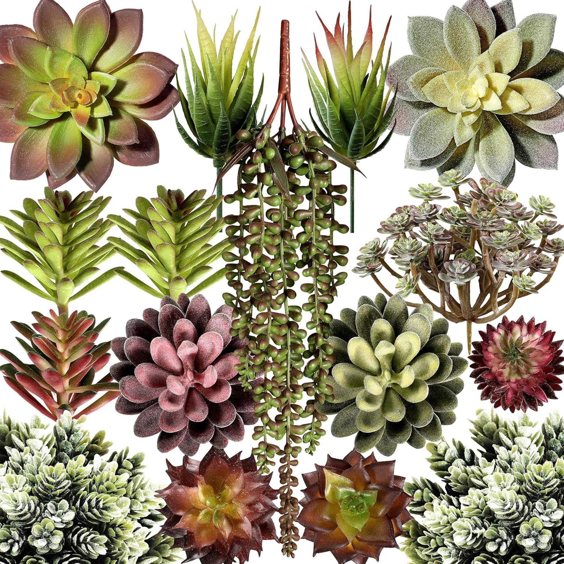 16 Pack Artificial Succulent Plants Assorted Unpotted Realistic Faux Cactus Aloe for DIY Decor - 1