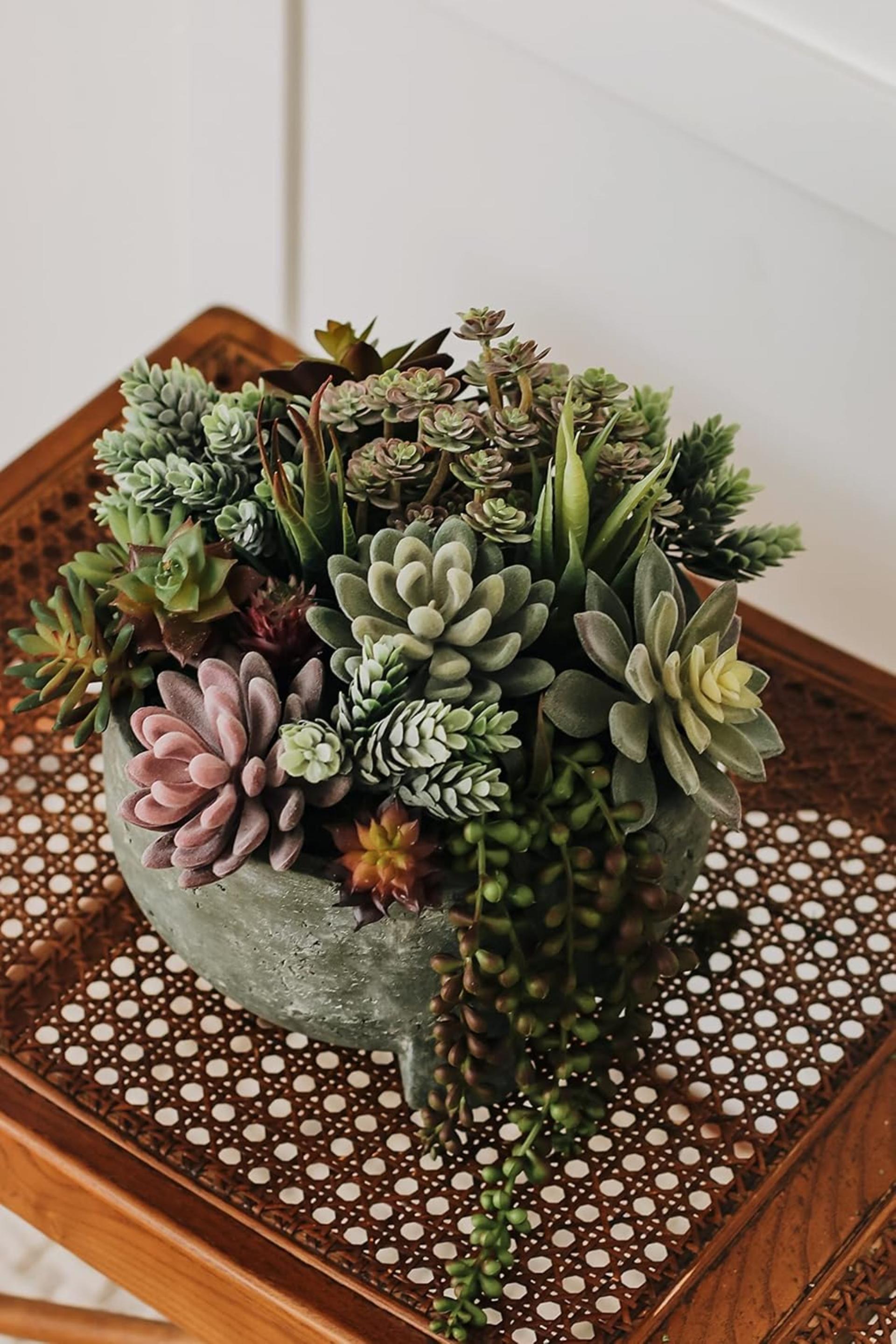 16 Pack Artificial Succulent Plants Assorted Unpotted Realistic Faux Cactus Aloe for DIY Decor - 2