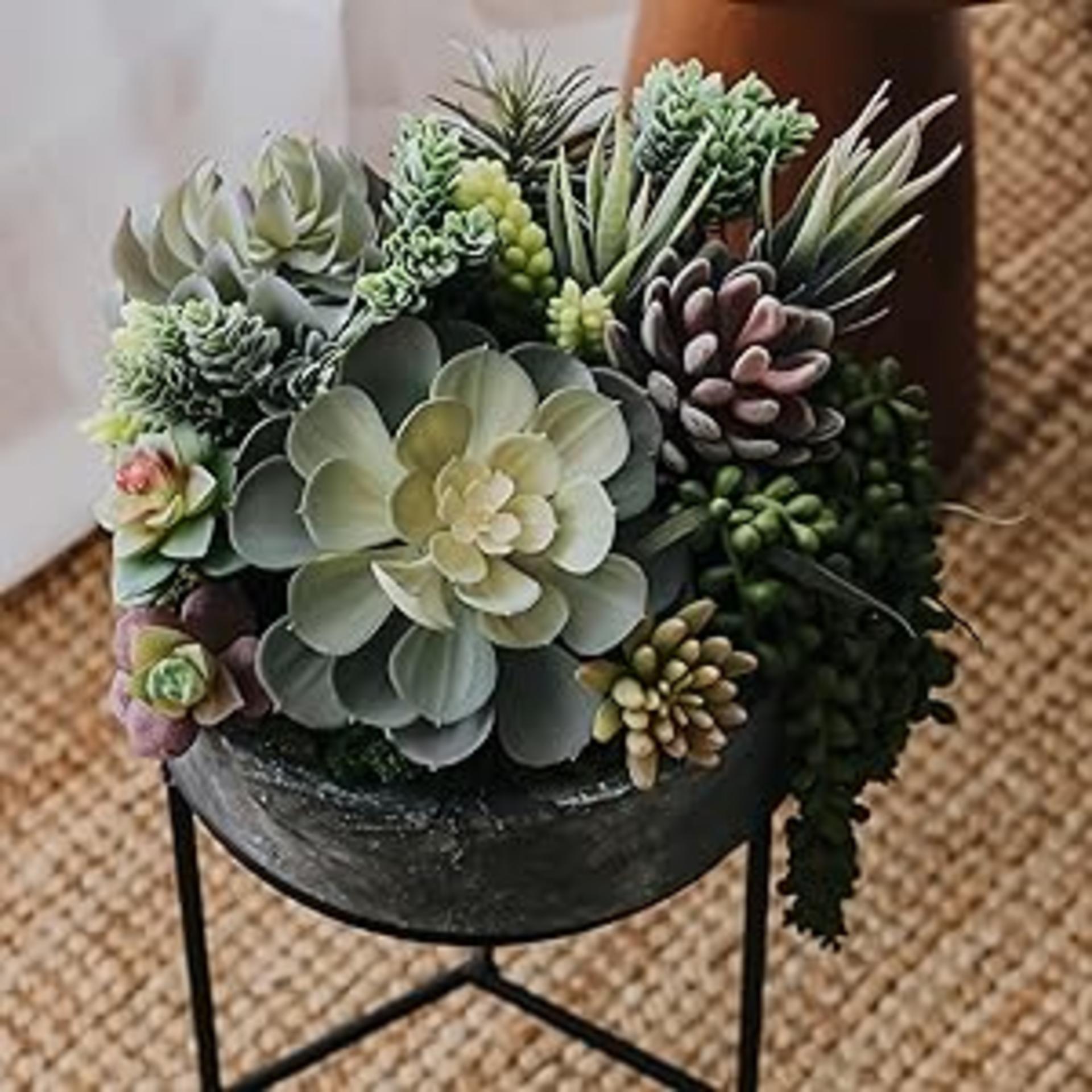 15 Pack Artificial Succulents - Realistic Unpotted Faux Cactus Plants for DIY Home Decor detail 3
