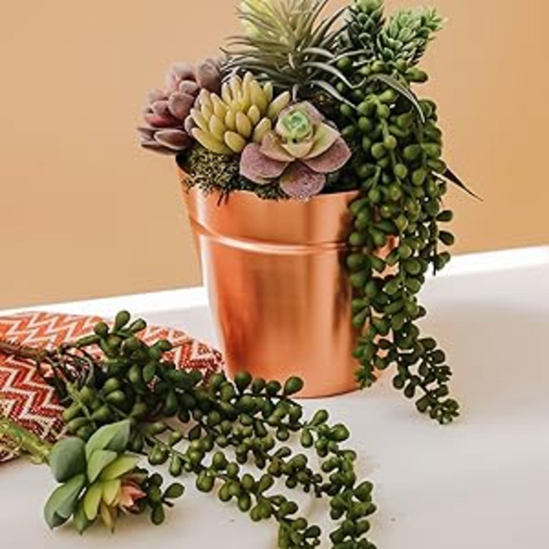 15 Pack Artificial Succulents - Realistic Unpotted Faux Cactus Plants for DIY Home Decor detail 7