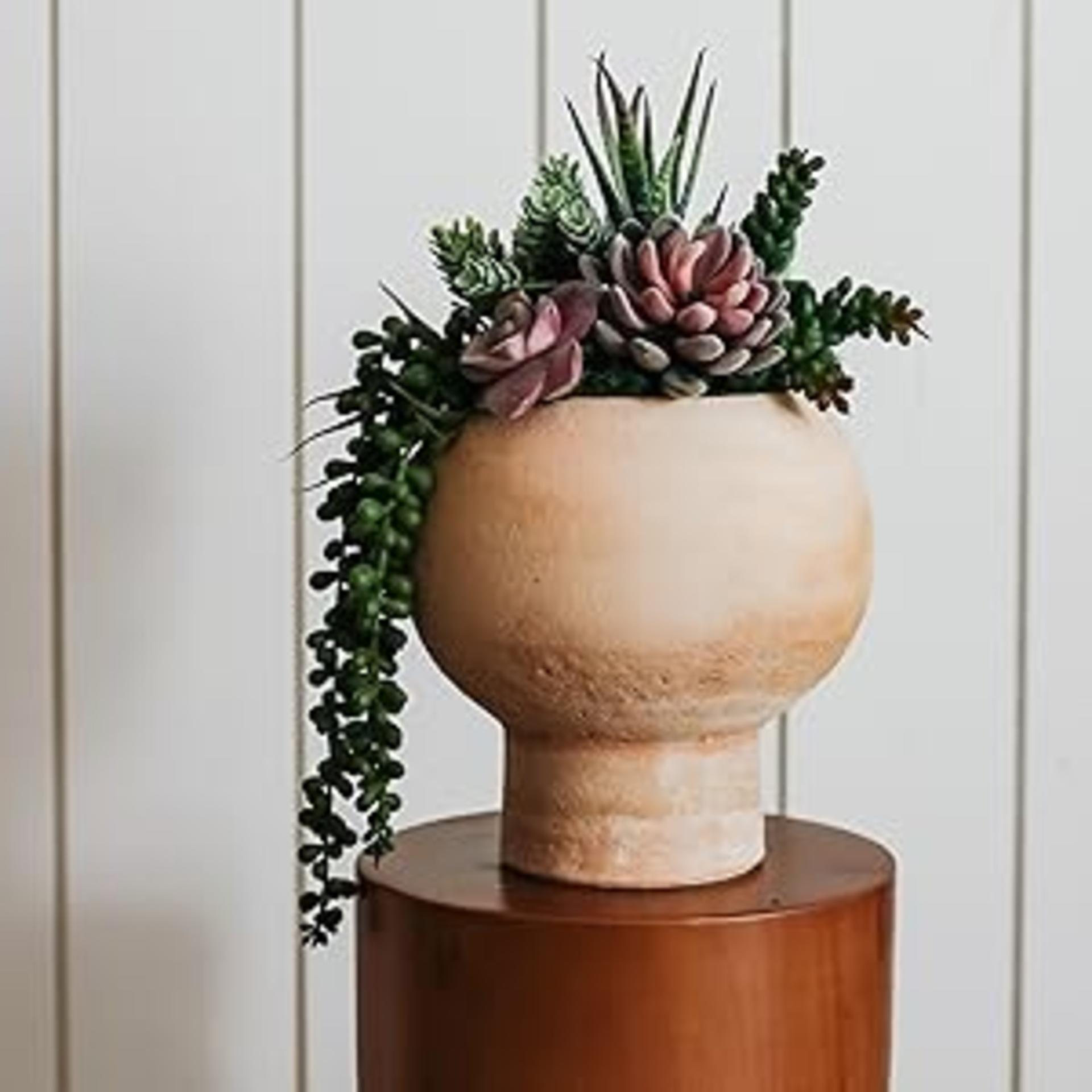 15 Pack Artificial Succulents - Realistic Unpotted Faux Cactus Plants for DIY Home Decor detail 8