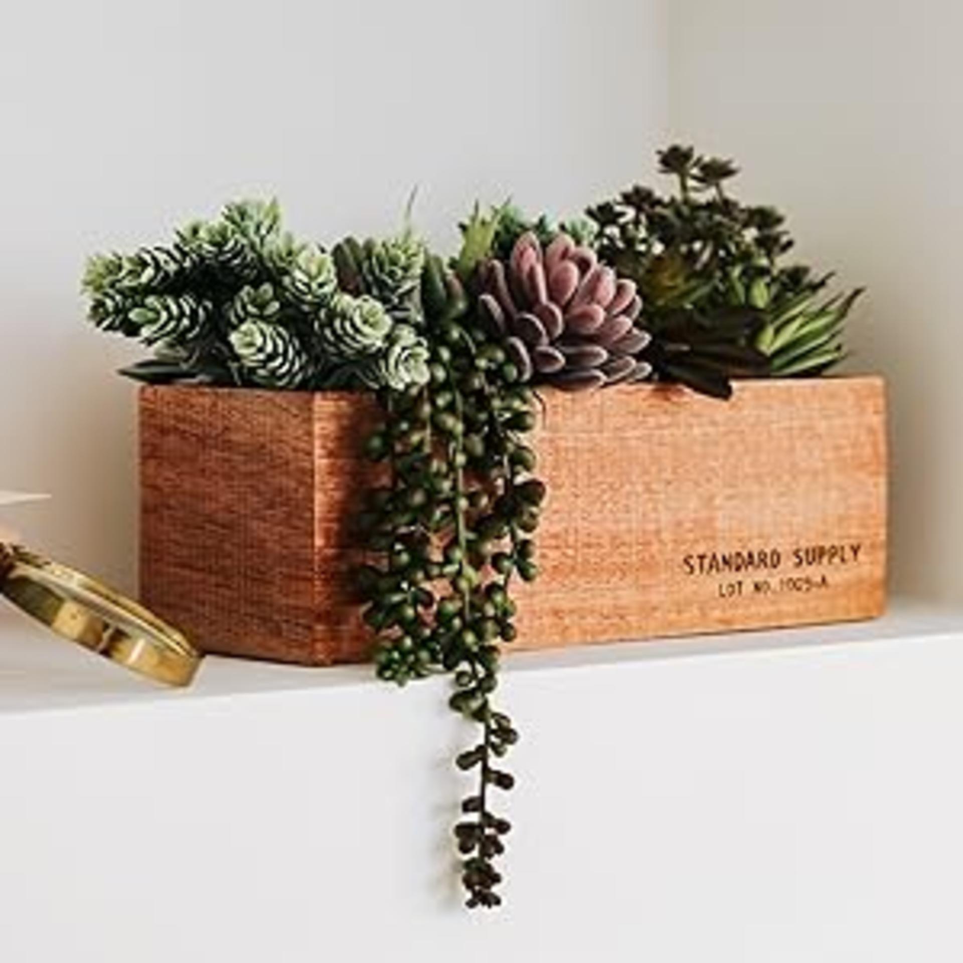 16 Pack Artificial Succulent Plants Assorted Unpotted Realistic Faux Cactus Aloe for DIY Decor detail 3