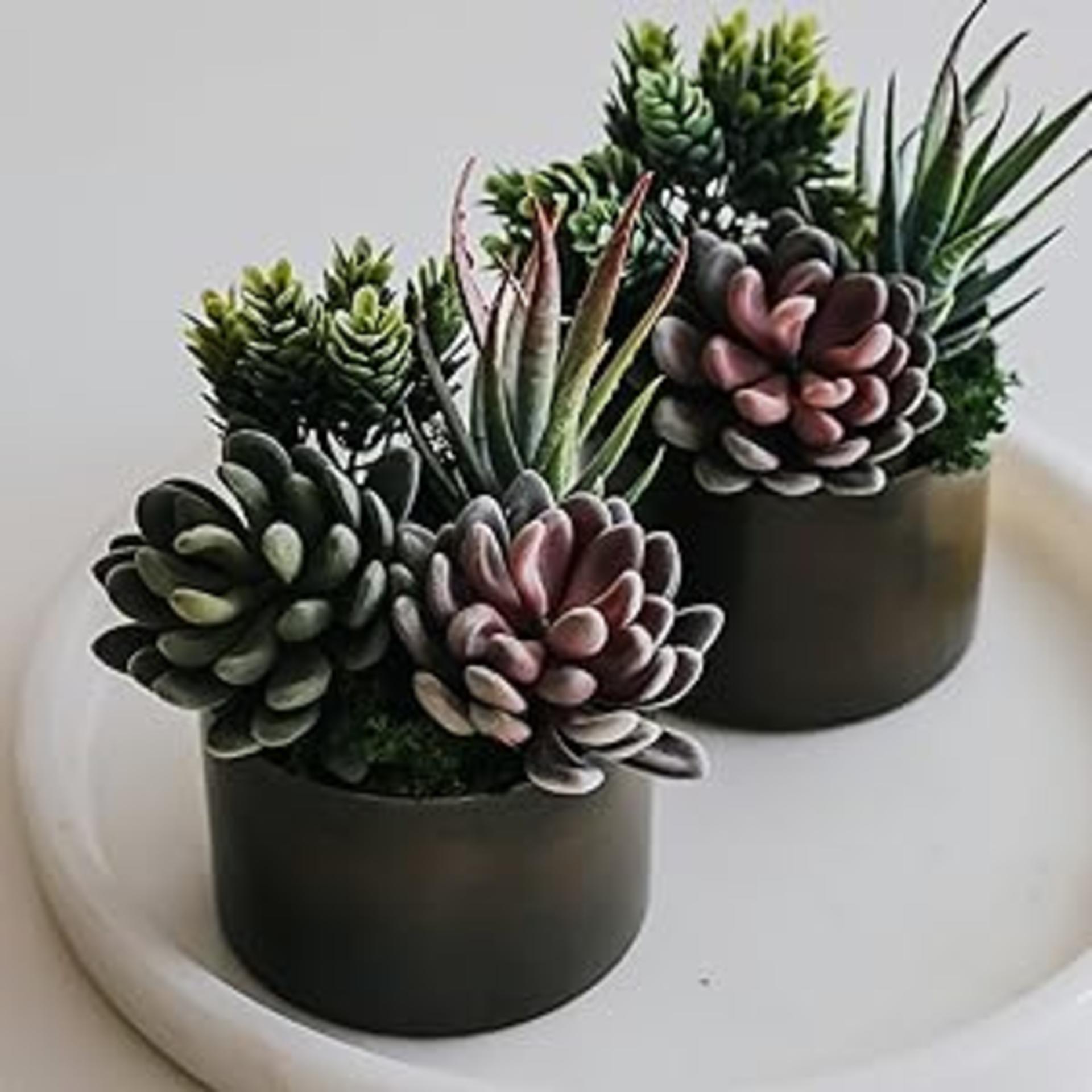 16 Pack Artificial Succulent Plants Assorted Unpotted Realistic Faux Cactus Aloe for DIY Decor detail 4