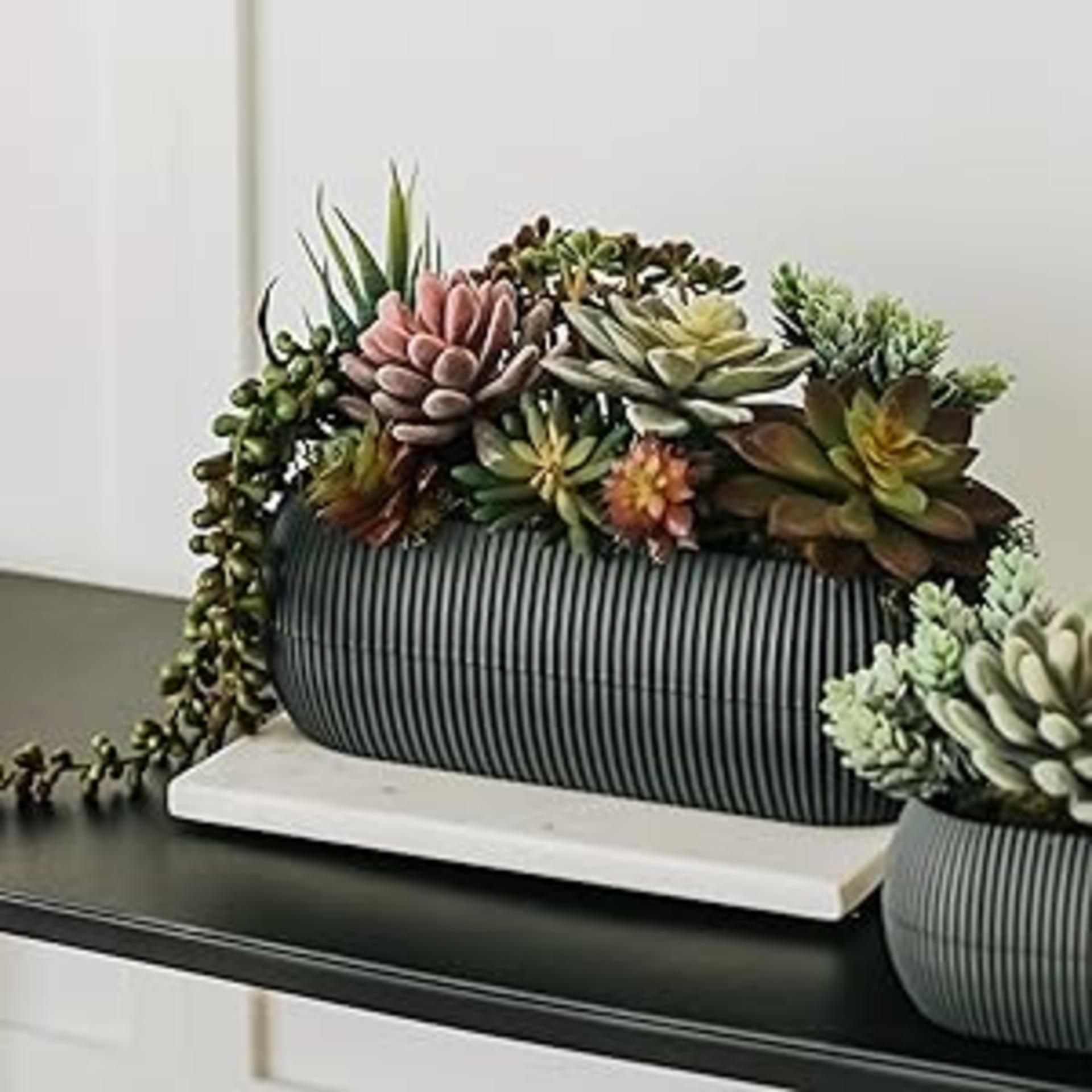 16 Pack Artificial Succulent Plants Assorted Unpotted Realistic Faux Cactus Aloe for DIY Decor detail 6