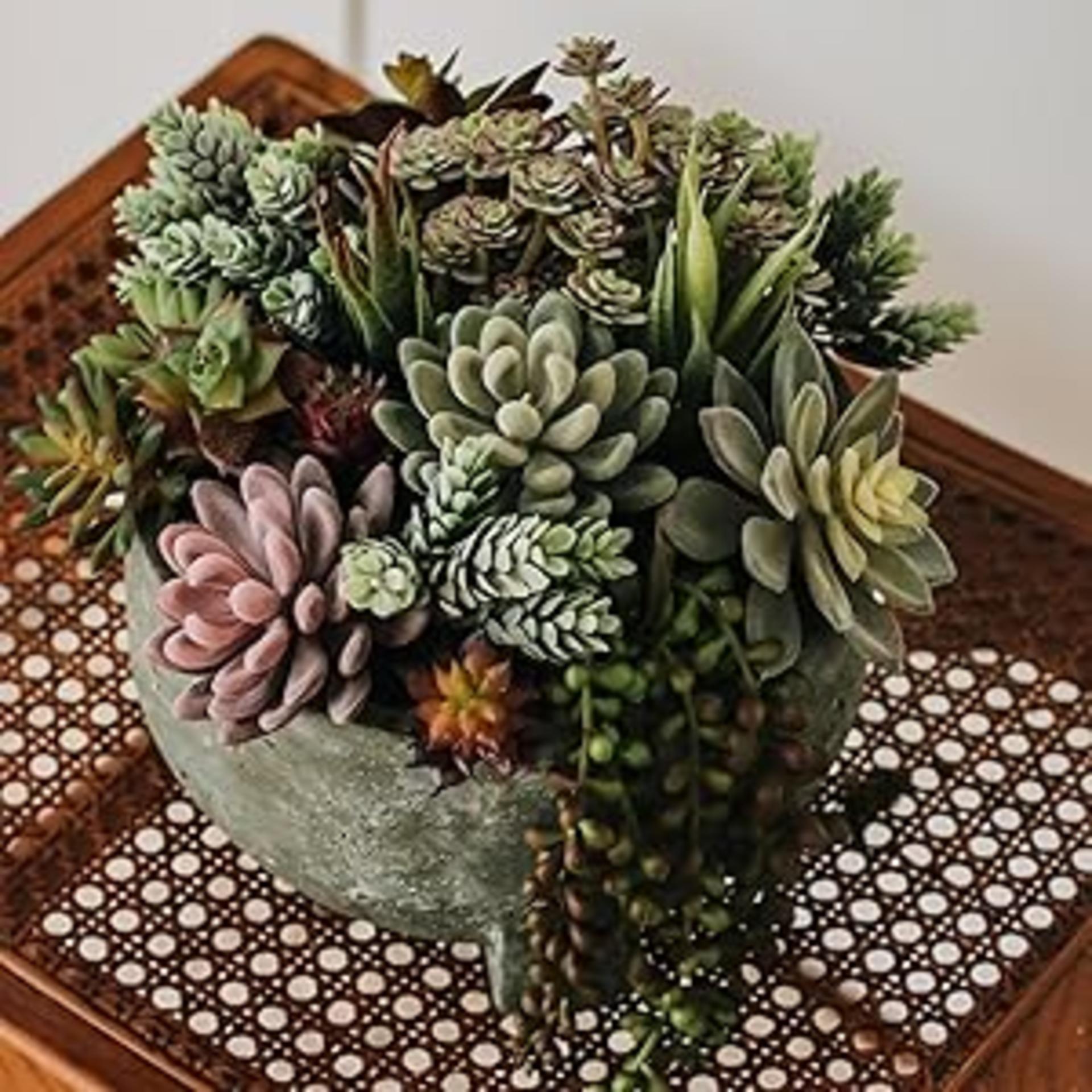 16 Pack Artificial Succulent Plants Assorted Unpotted Realistic Faux Cactus Aloe for DIY Decor detail 8