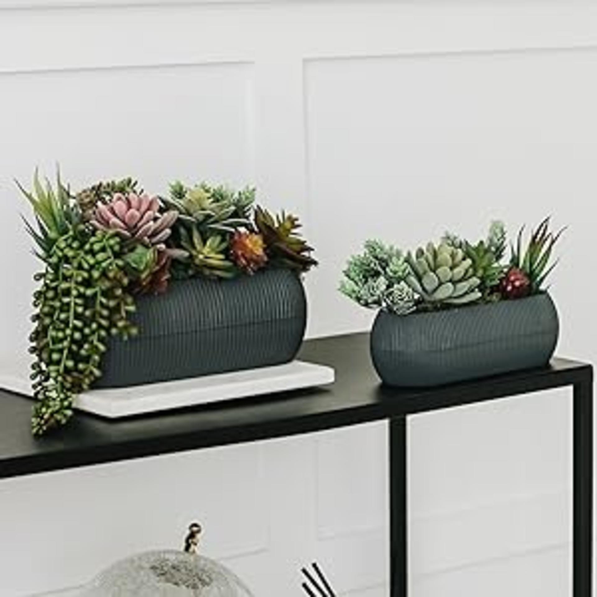 16 Pack Artificial Succulent Plants Assorted Unpotted Realistic Faux Cactus Aloe for DIY Decor detail 11