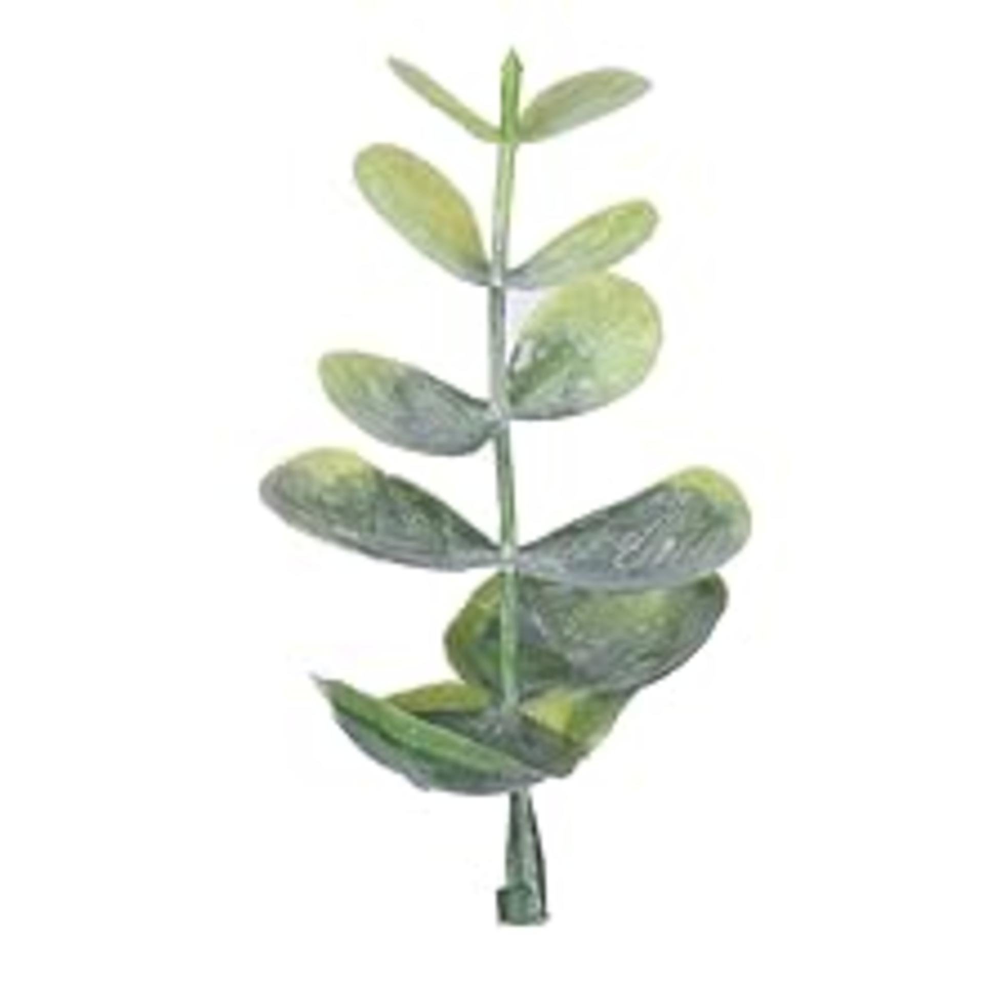 2 Pack Artificial Eucalyptus Garland 12ft Faux Greenery Vines for Wedding Arch Wall Decor detail 4
