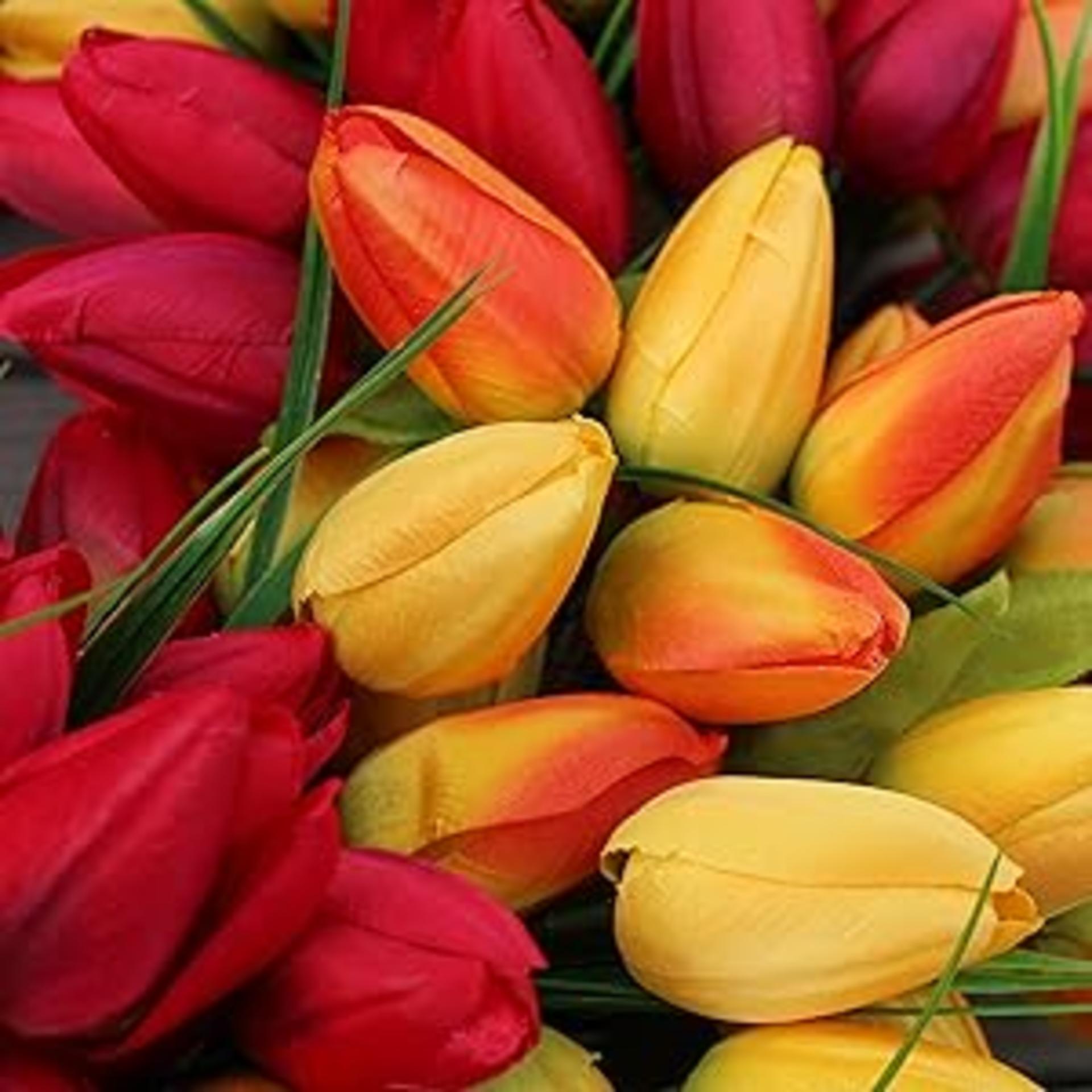 19-Inch Blush Tulip Front Door Wreath - Full Handcrafted Spring Floral Decor with Gift Box detail 4