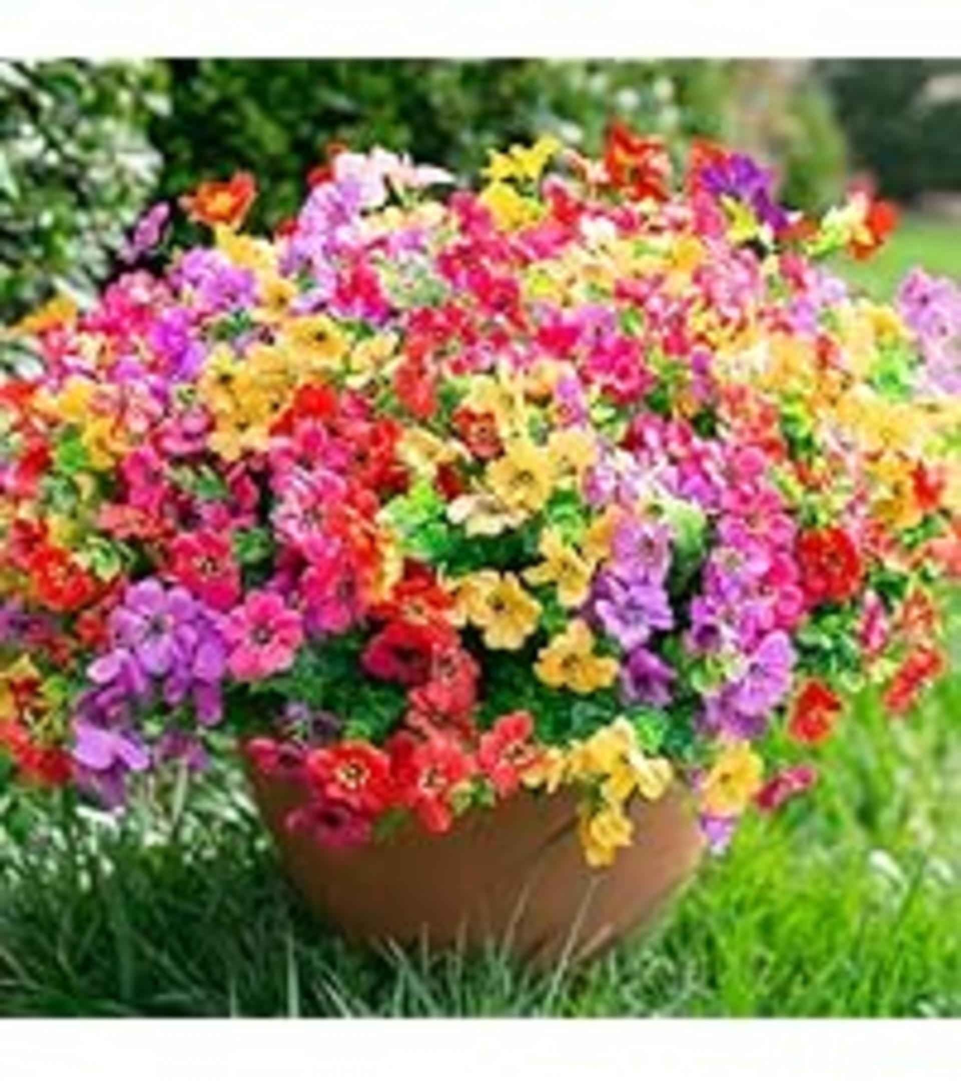 12 Bundles Artificial Daisy Flowers for Outdoor Decoration, UV Resistant Faux Plants with Eucalyptus detail 7
