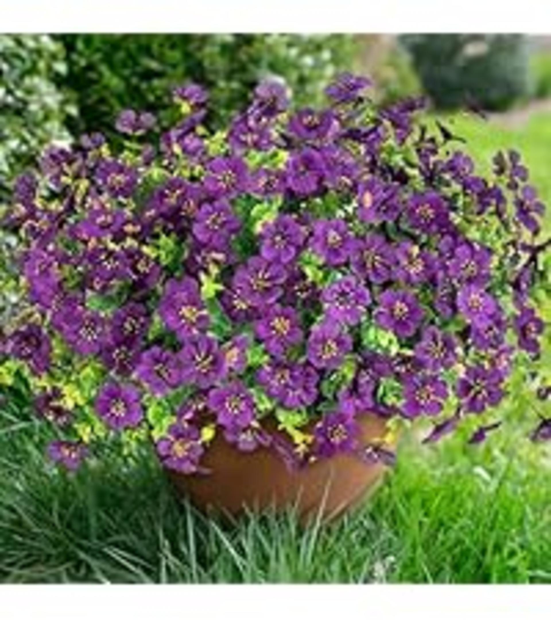 12 Bundles Artificial Daisy Flowers for Outdoor Decoration, UV Resistant Faux Plants with Eucalyptus detail 11