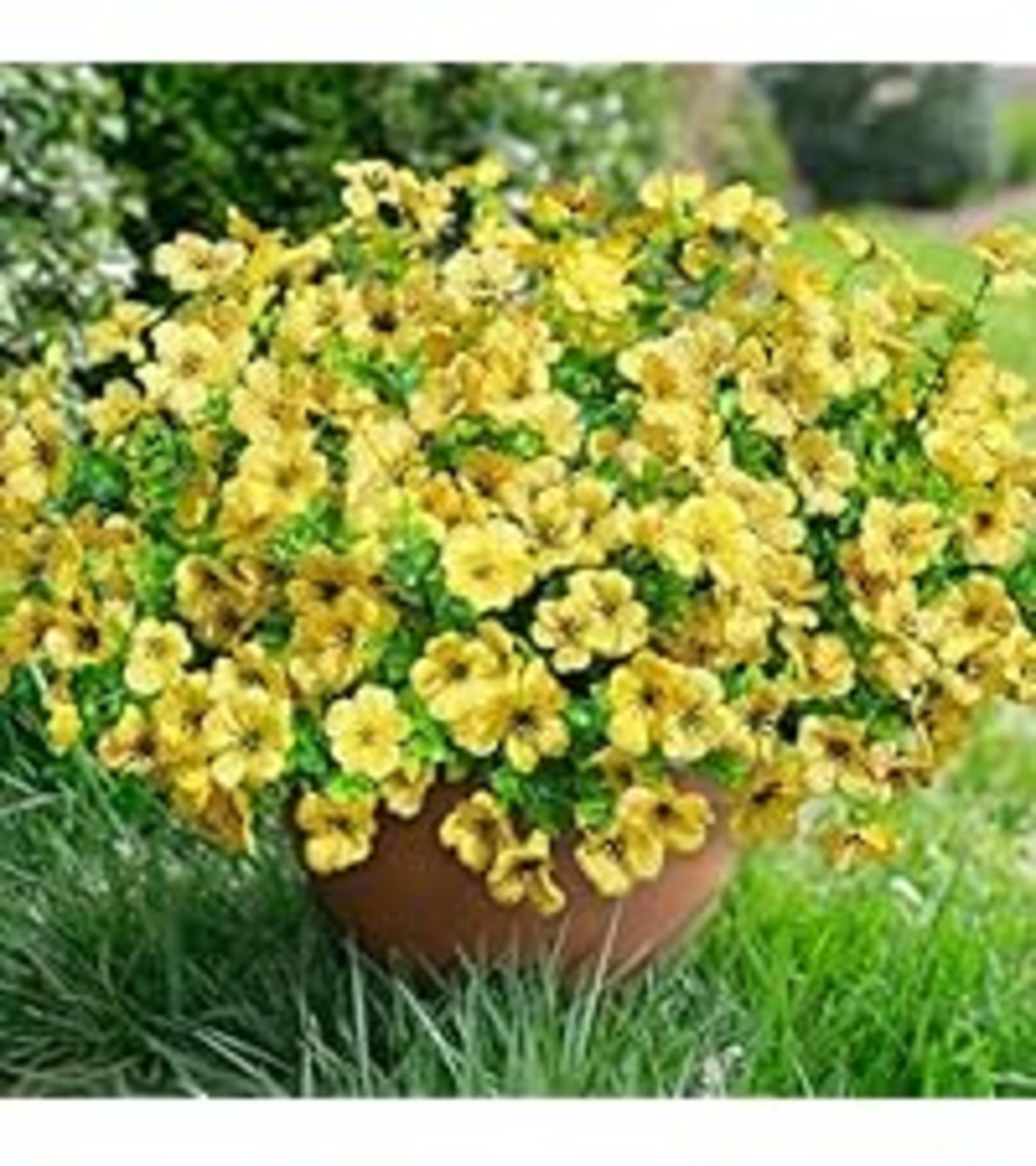 12 Bundles Artificial Daisy Flowers for Outdoor Decoration, UV Resistant Faux Plants with Eucalyptus detail 13