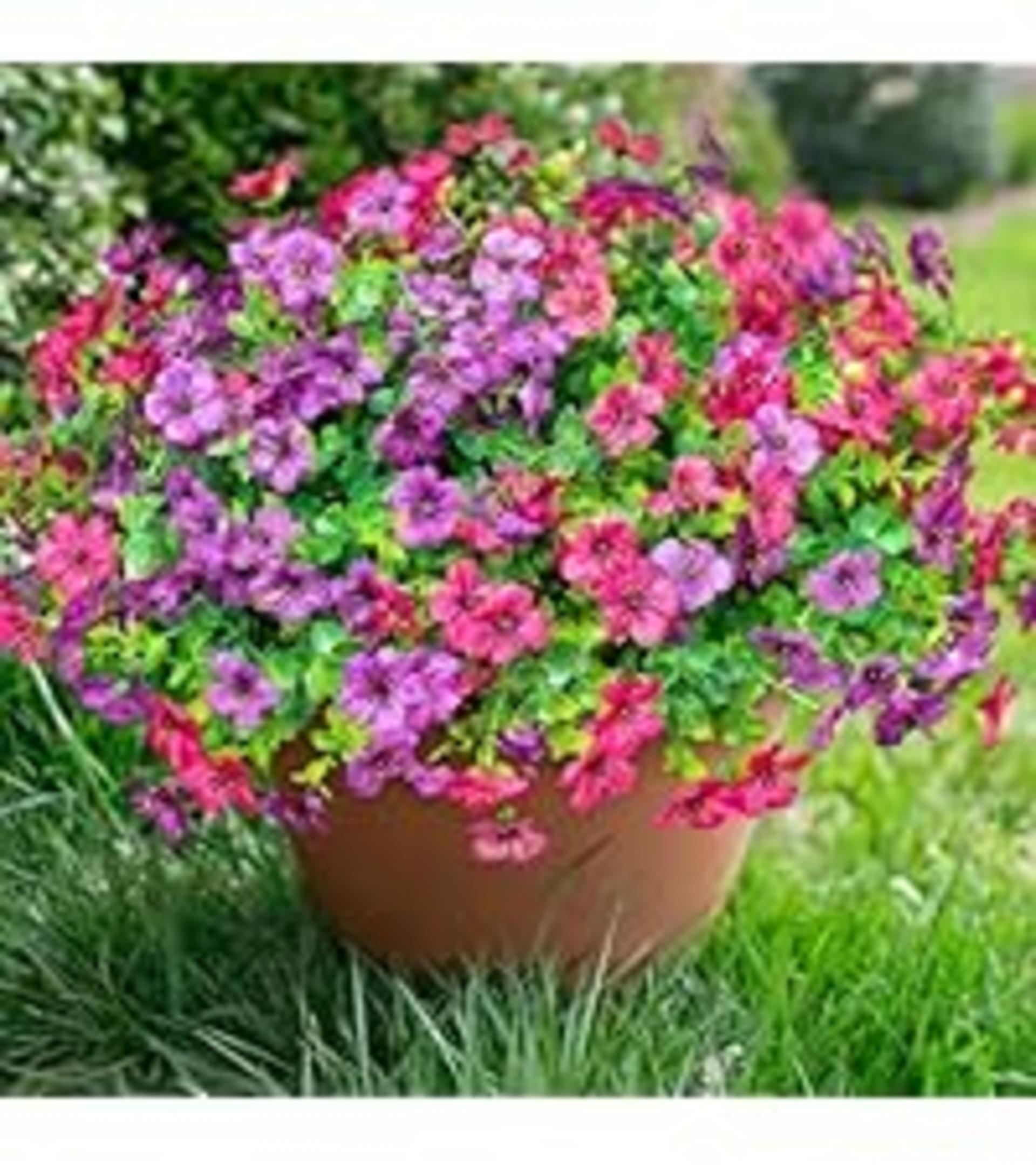 12 Bundles Artificial Daisy Flowers with Eucalyptus, UV Resistant Faux Plants for Outdoor Indoor Decor detail 8