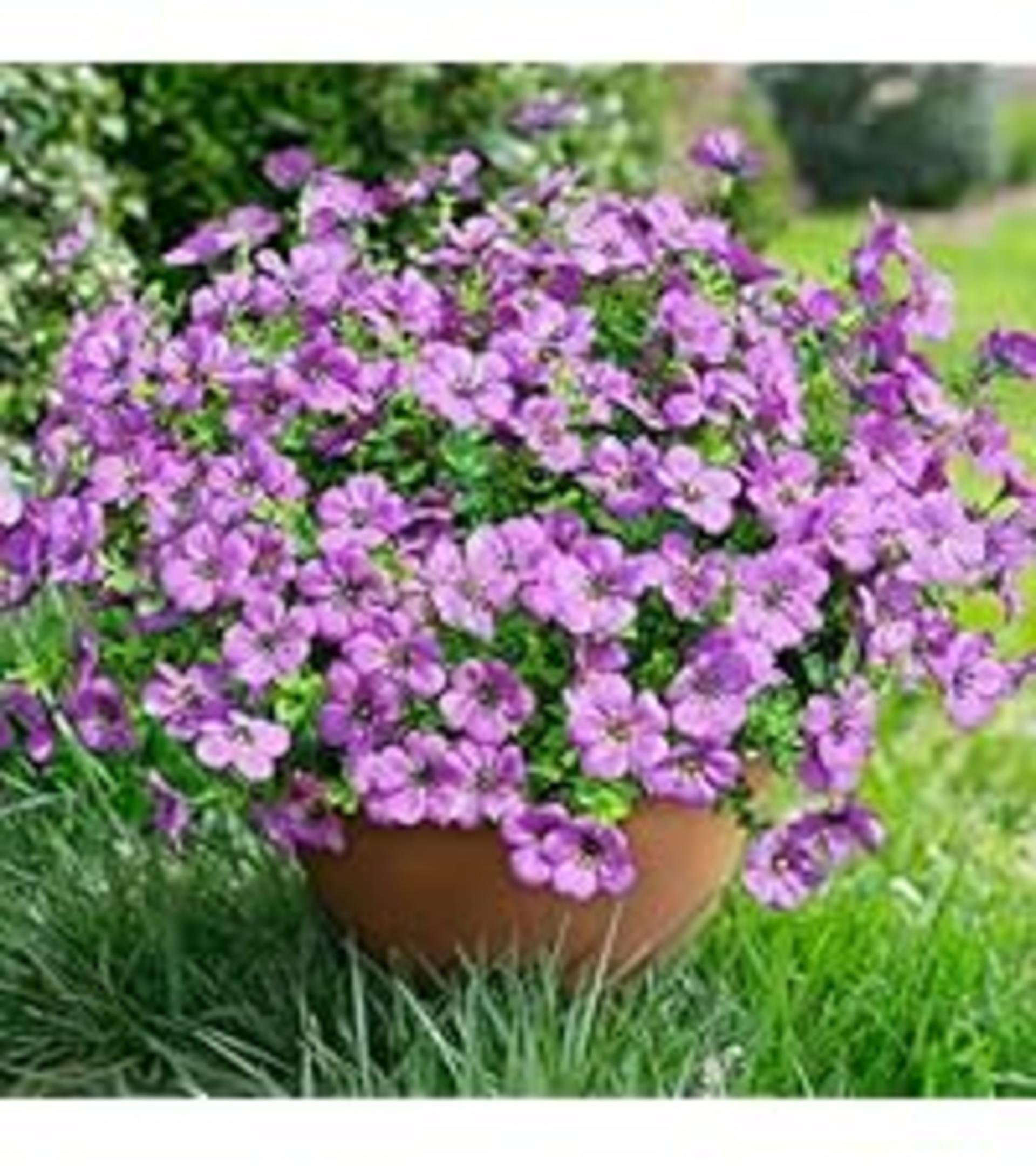 12 Bundles Artificial Daisy Flowers with Eucalyptus, UV Resistant Faux Plants for Outdoor Indoor Decor detail 12